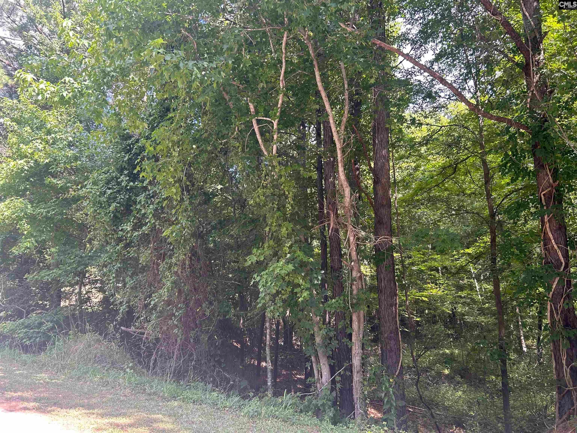 Property image 3 at 197 Hard Rock, Winnsboro, SC 29180-7685