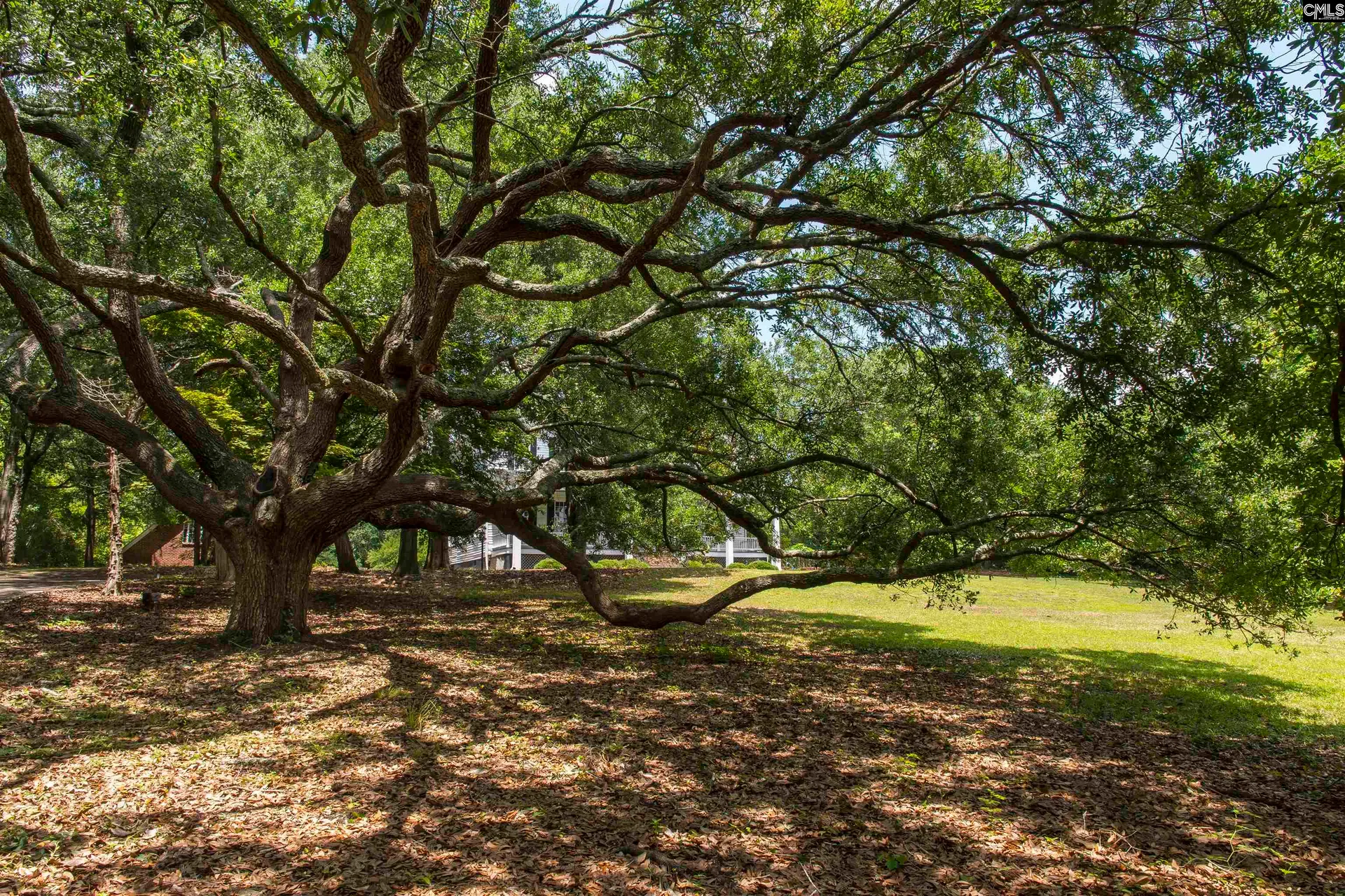 Property image 3 at 414 Greene Street, Camden, SC 29020