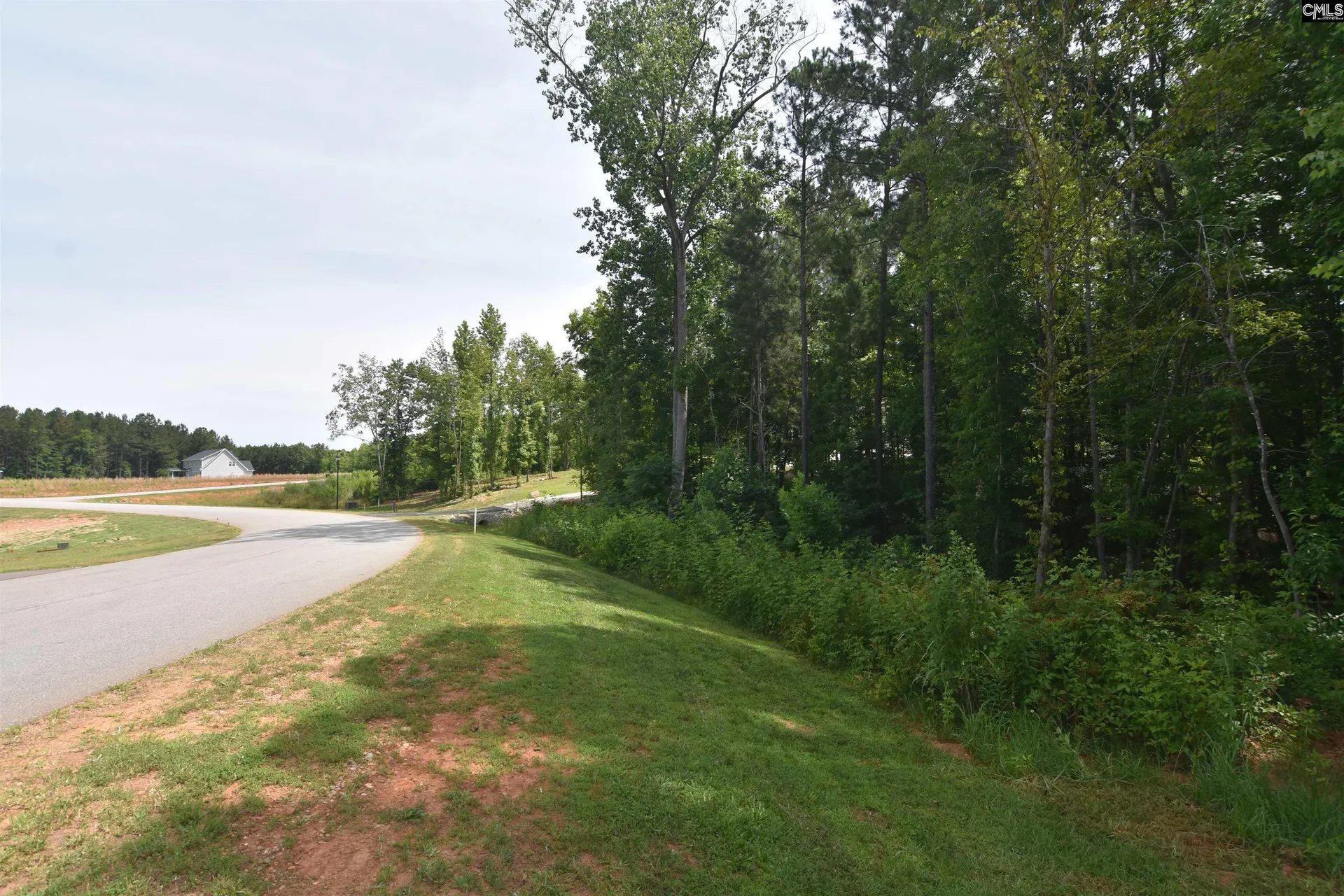 Property image 3 at 0 Longview Drive, Leesville, SC 29070