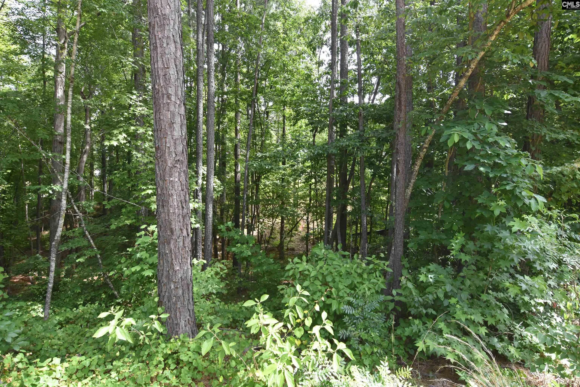 Property image 5 at 0 Longview Drive, Leesville, SC 29070