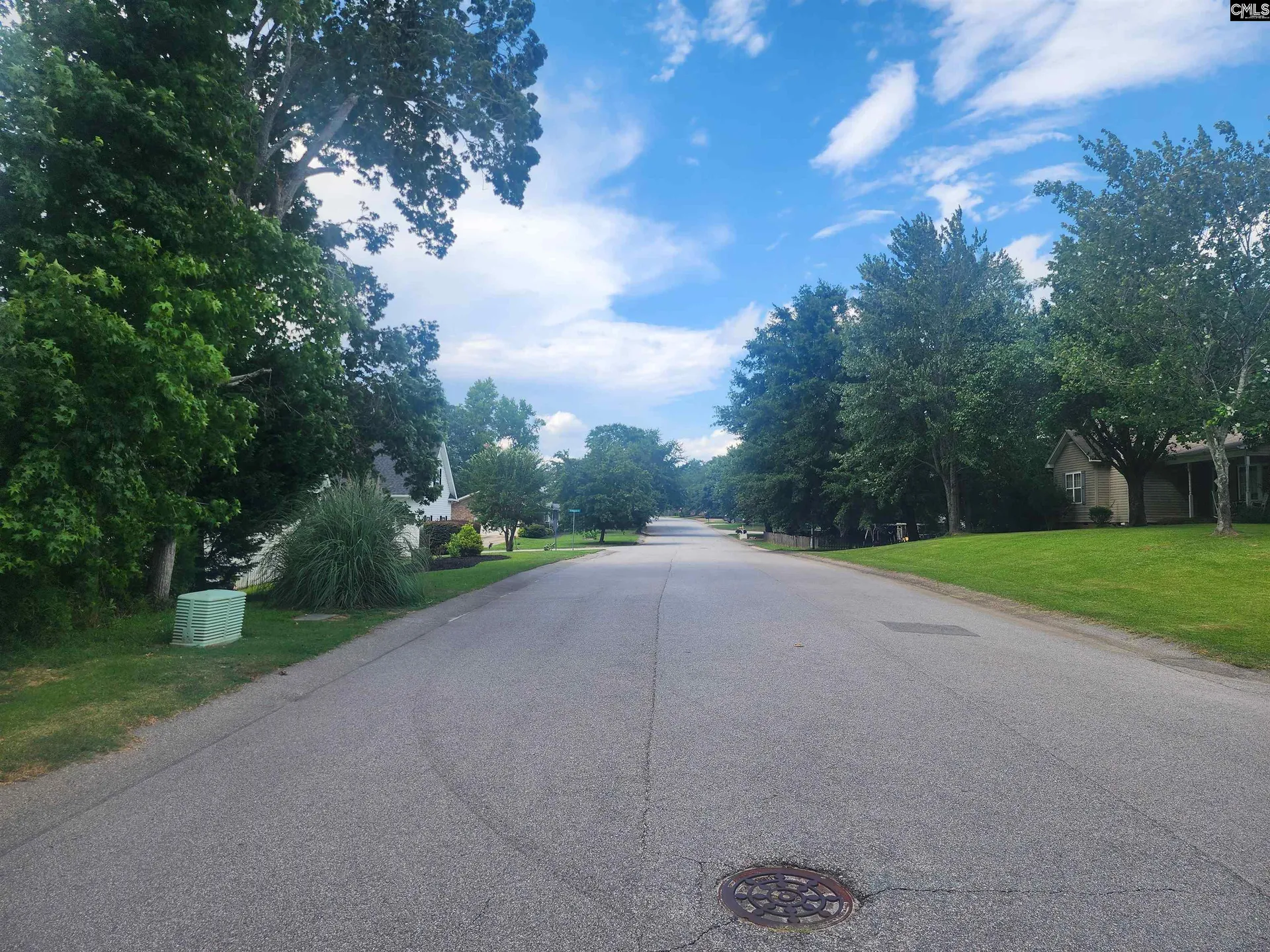 Property image 2 at Forest Ridge Drive, Newberry, SC 29108