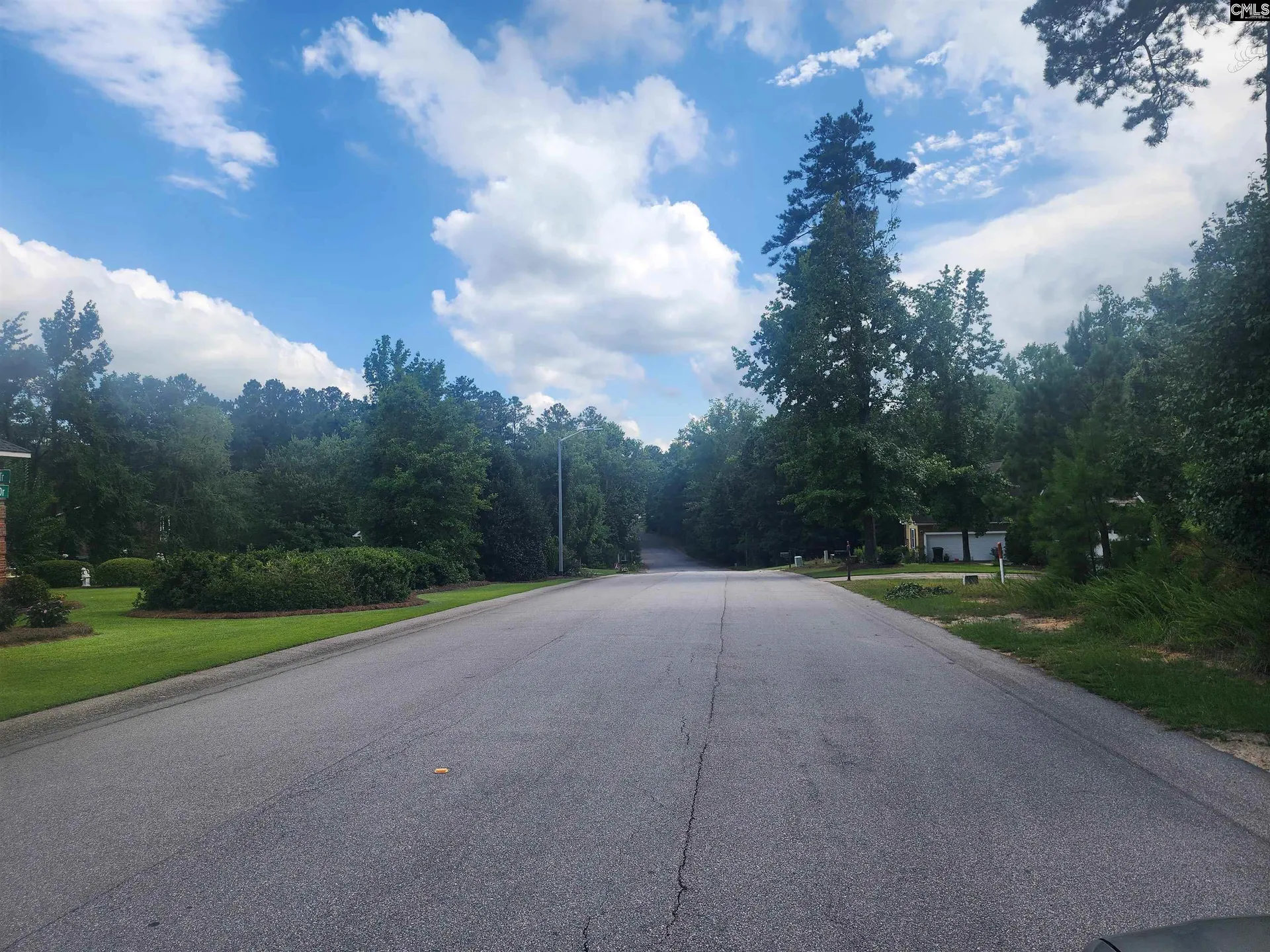 Property image 3 at Forest Ridge Drive, Newberry, SC 29108