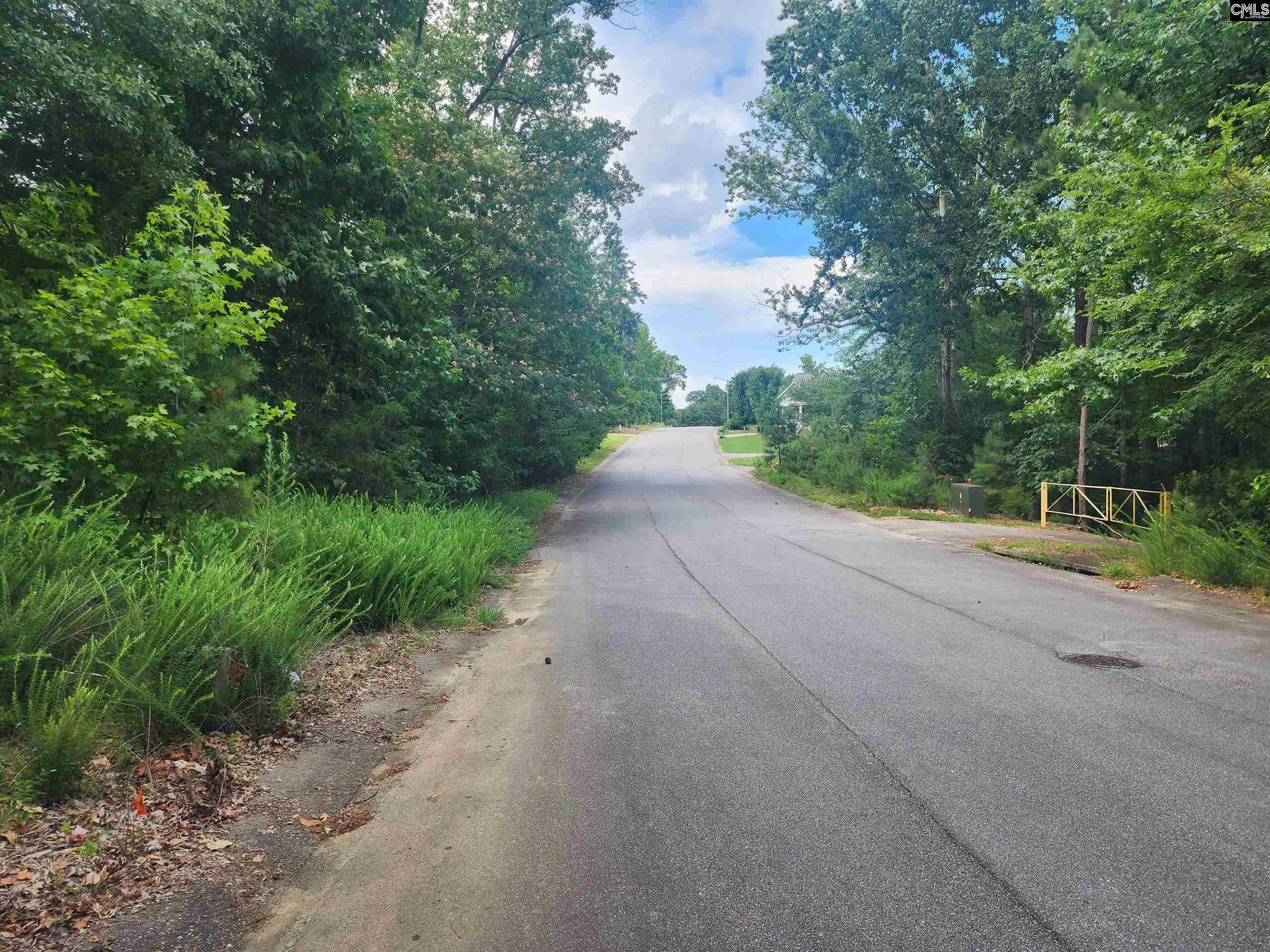 Property image 2 at Forest Ridge Drive, Newberry, SC 29108