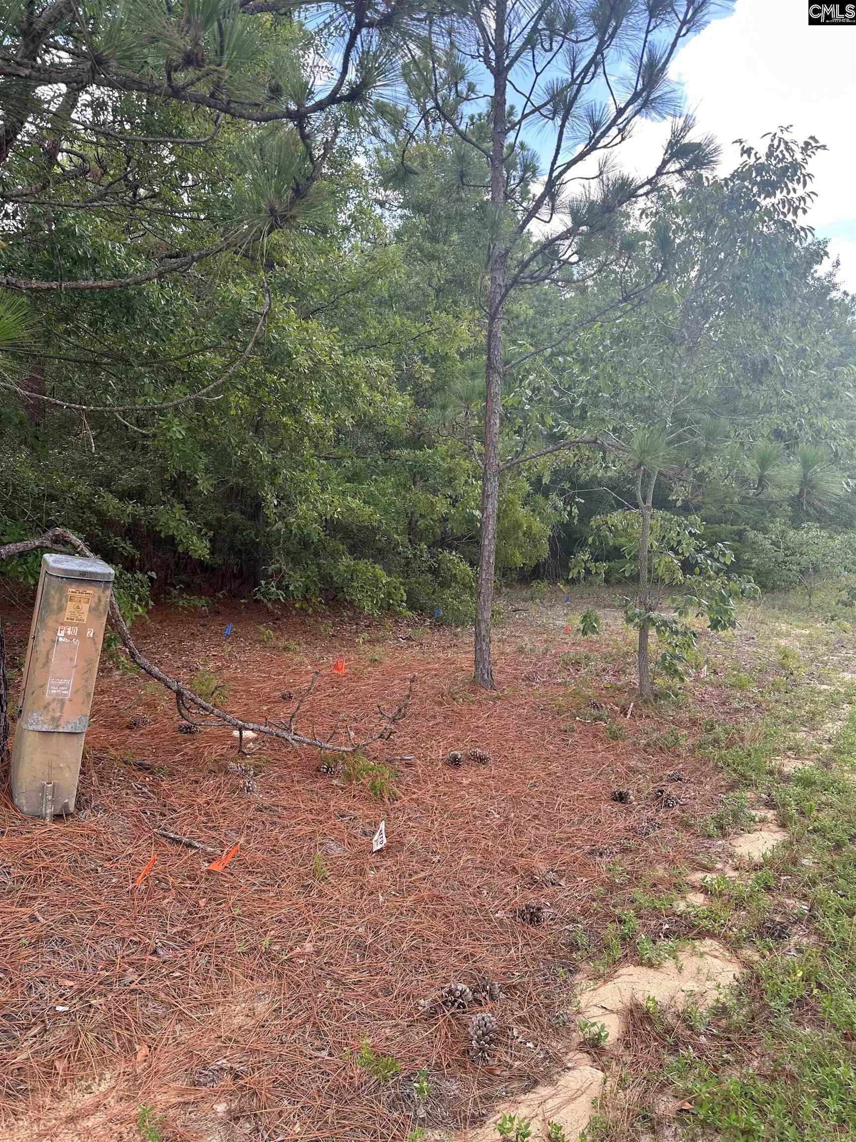 Property image 2 at 1148 Hwy1 South, Lugoff, SC 29078