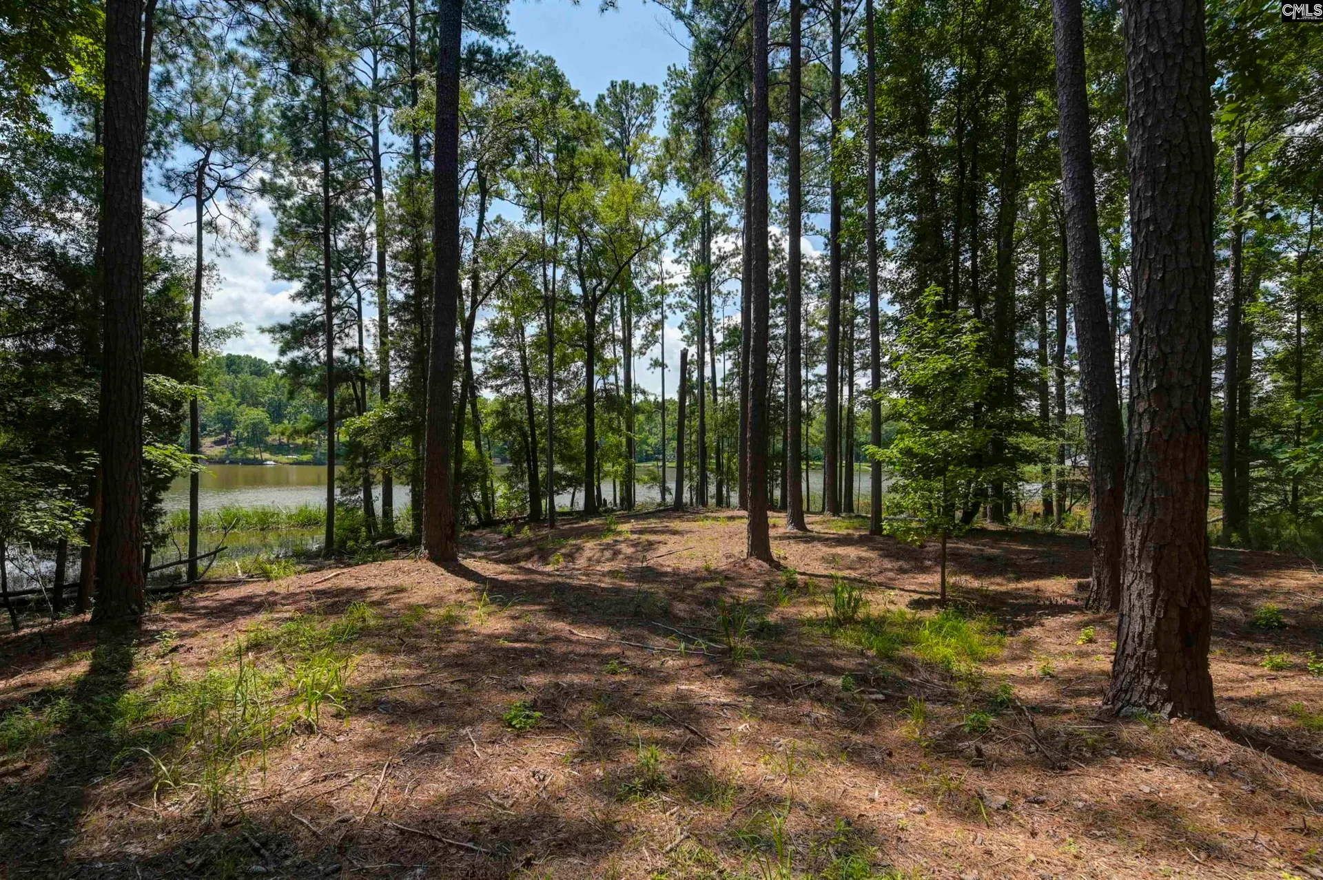 Property image 4 at TBD Retreat Way, Ridgeway, SC 29130-0000