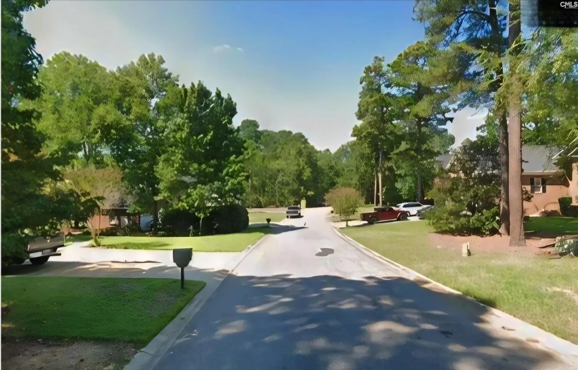 Property image 2 at 557 Wateroak Trail, Chapin, SC 29036