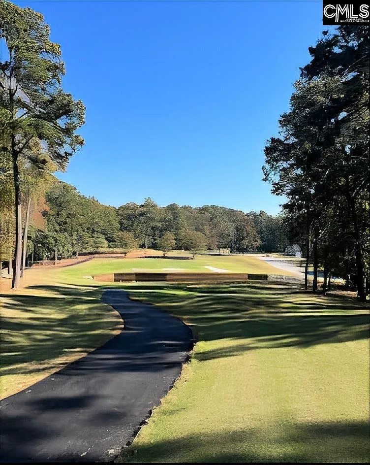 Property image 3 at 520 Wateroak Trail, Chapin, SC 29036