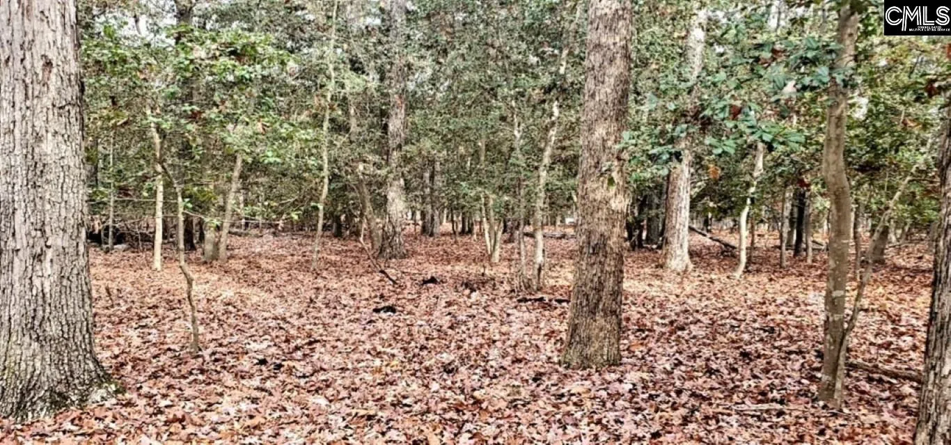 Property image 2 at 1679 Amicks Ferry Road, Chapin, SC 29036