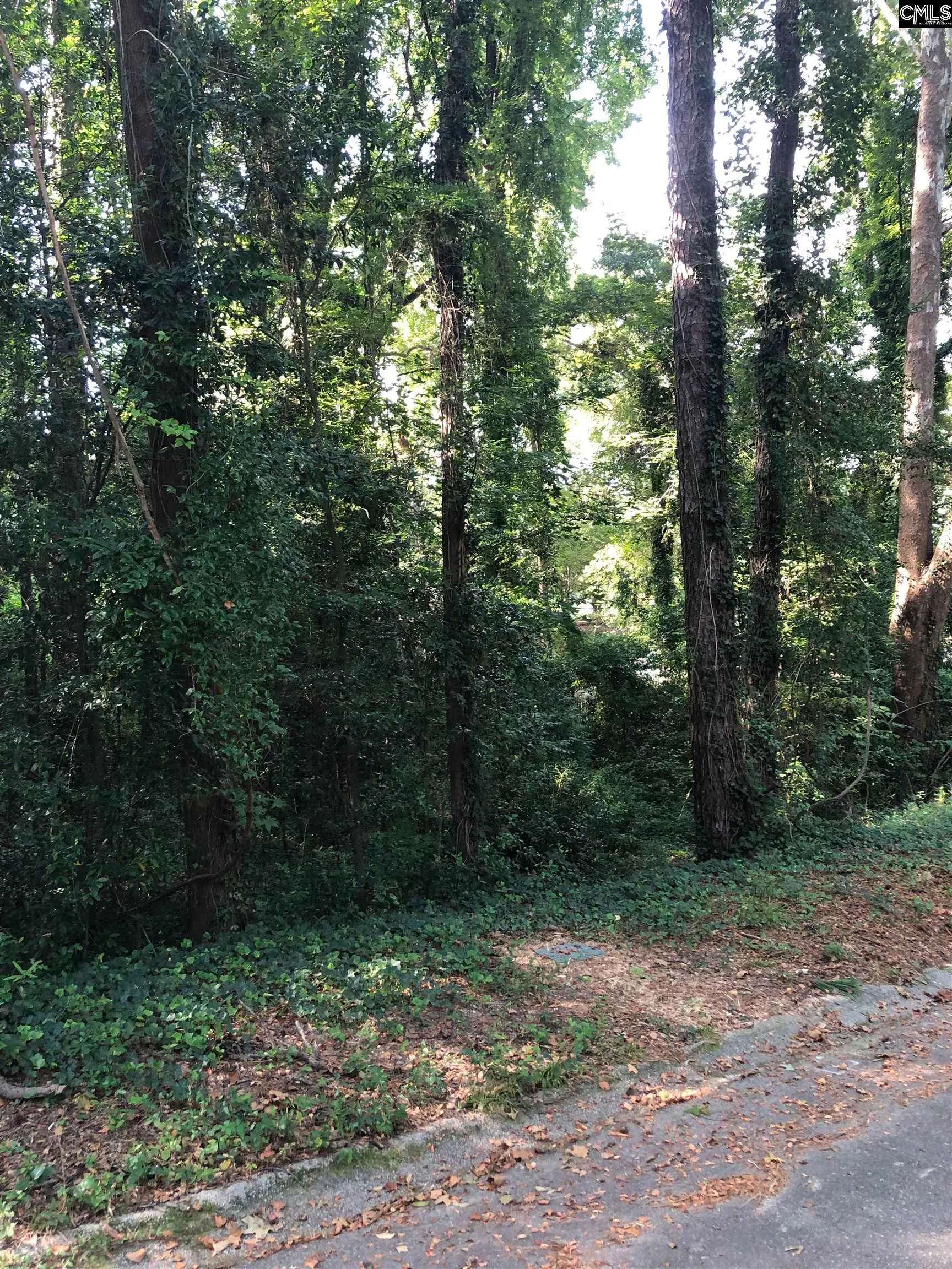 Dunston Hills, Columbia Community