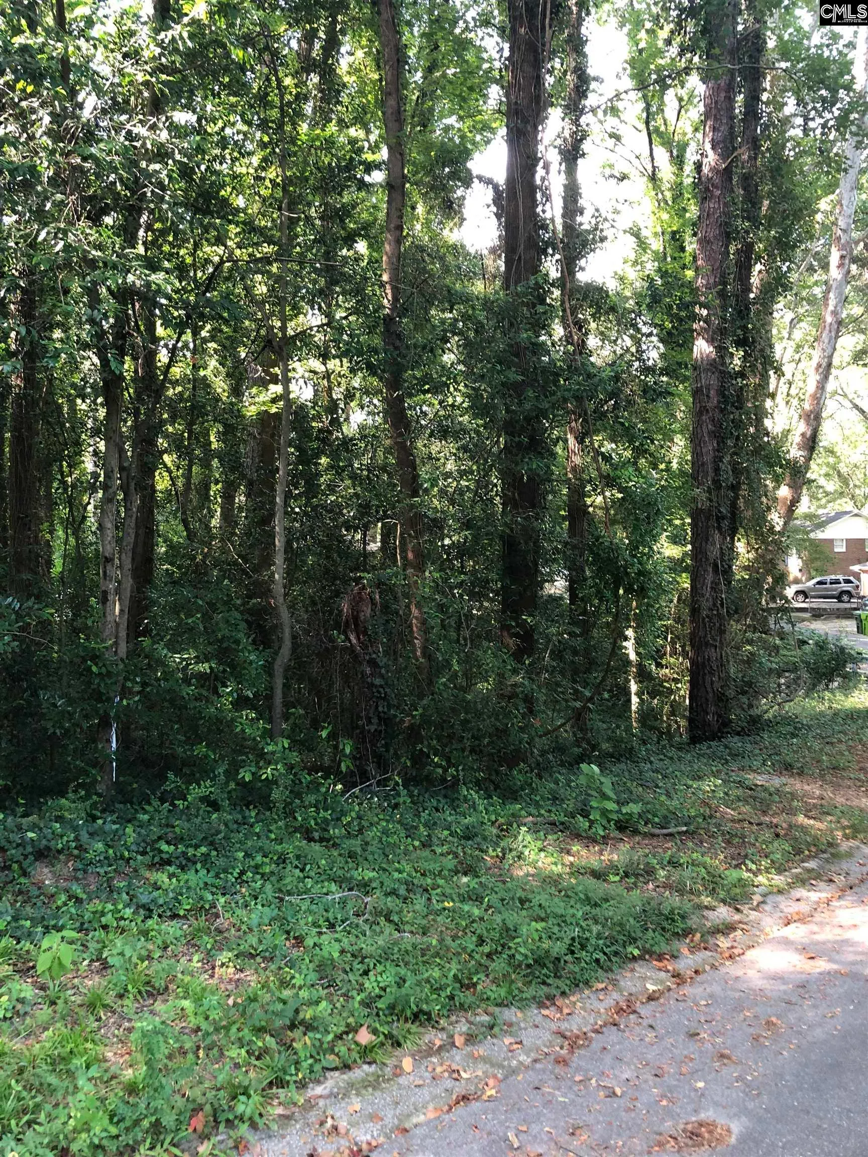 Property image 2 at 167 Waterford Drive, Columbia, SC 29203