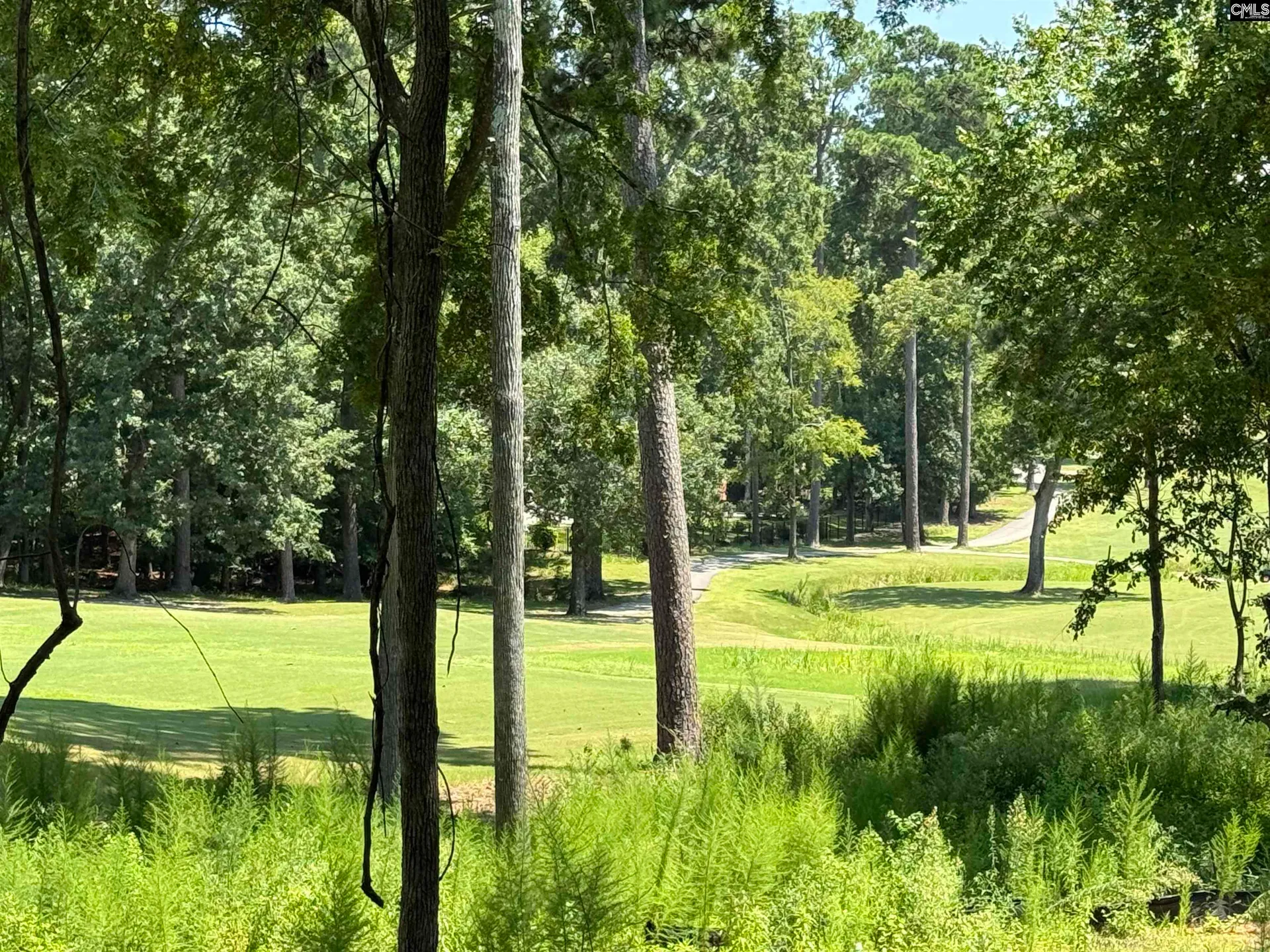 Property image 2 at 1037 Refuge Place, Chapin, SC 29036