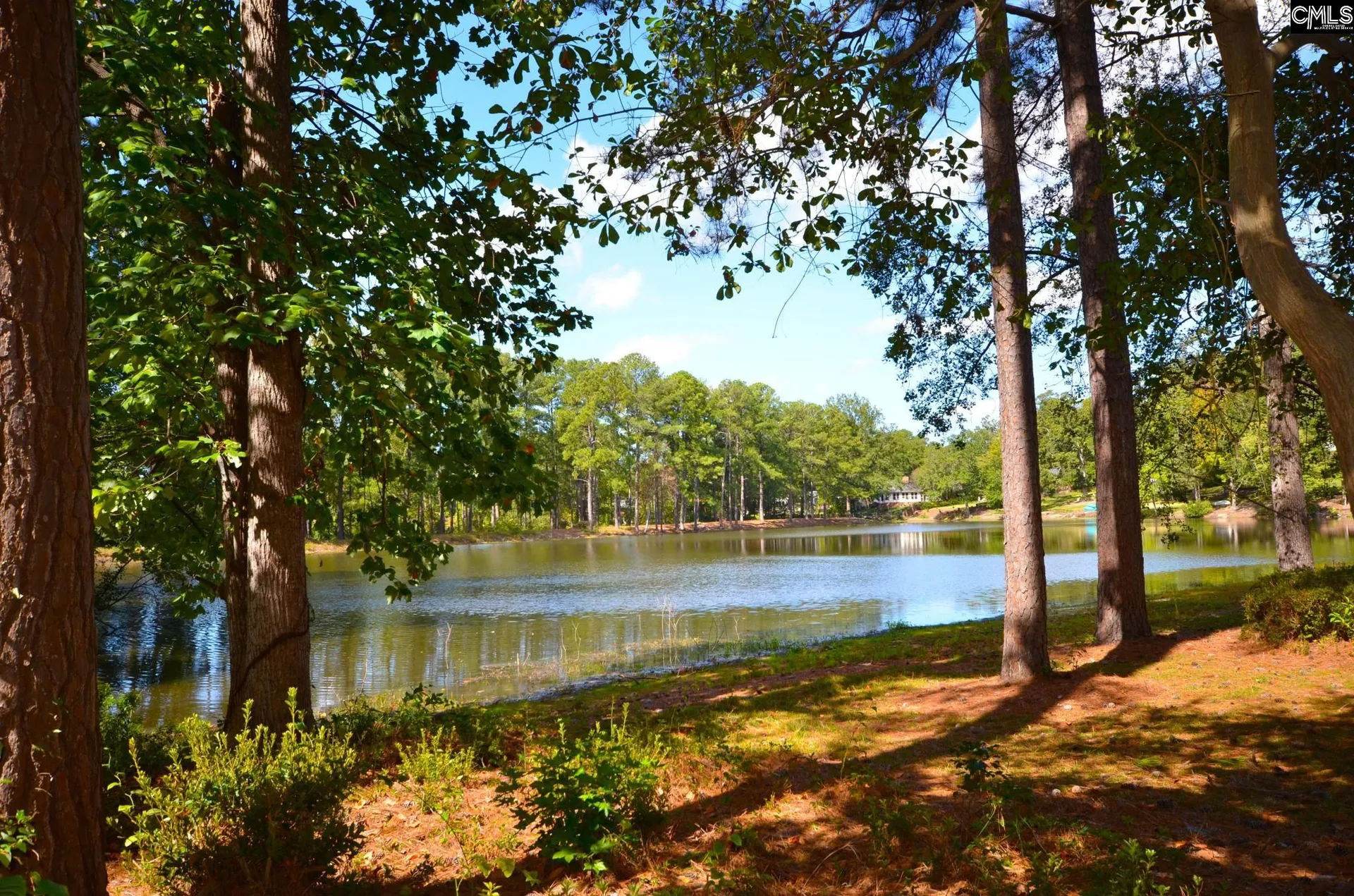 Property image 2 at 309 S Stonehedge Drive, Columbia, SC 29210