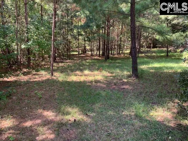 Property image 2 at Wateree Estates Road, Winnsboro, SC 29180