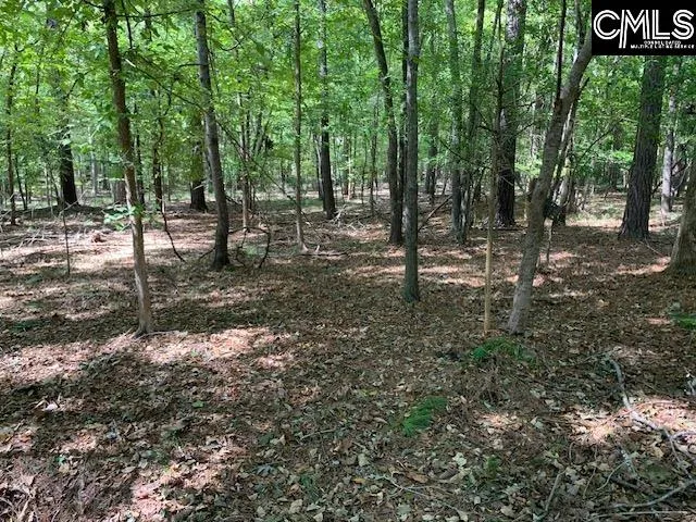 Property image 3 at Wateree Estates Road, Winnsboro, SC 29180