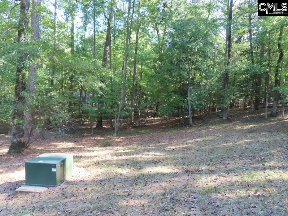 Property image 4 at 0 Woodside Drive, Winnsboro, SC 29180