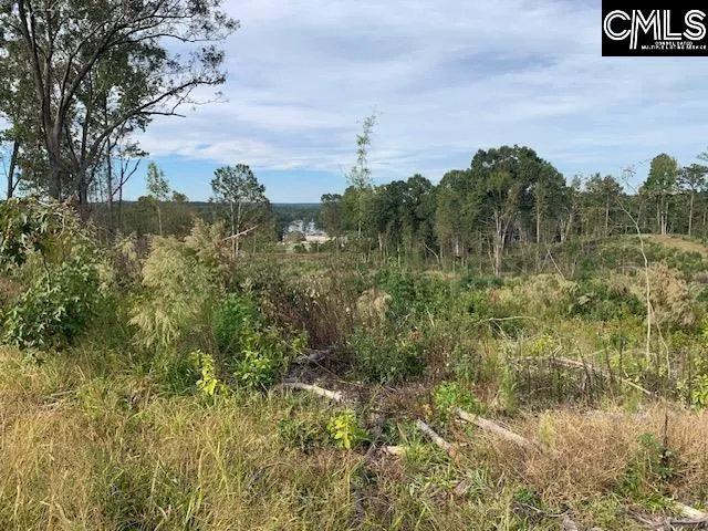 Property image 4 at 3357 John G Richards Road, Camden, SC 29020