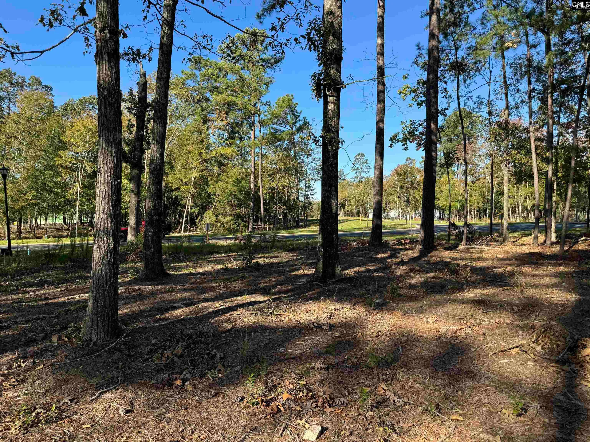 Property image 2 at 719 Mainsail Lane, Chapin, SC 29036