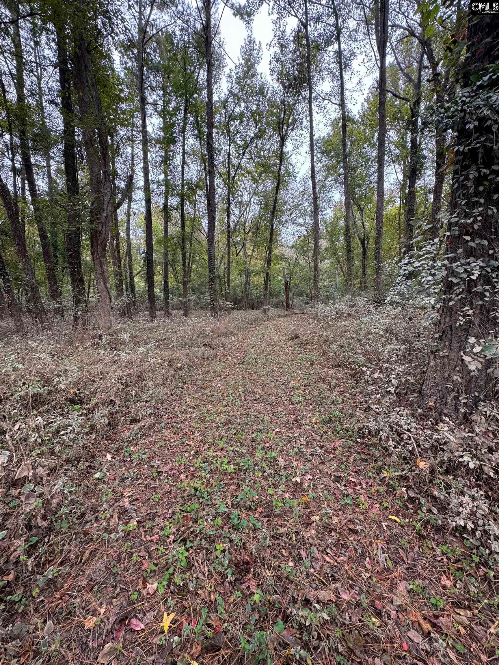 Property image 5 at 157 Wild Turkey Lane, Camden, SC 29020