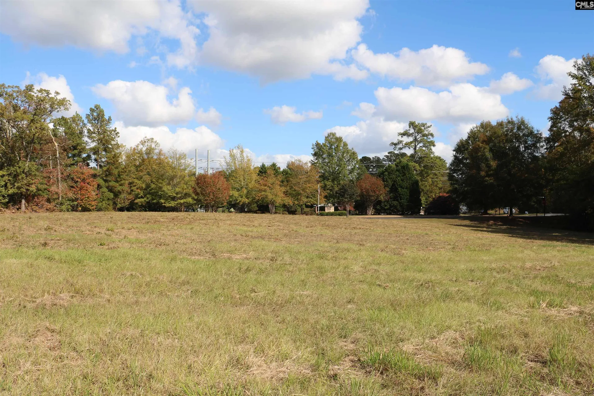 Milford Park, Irmo Community
