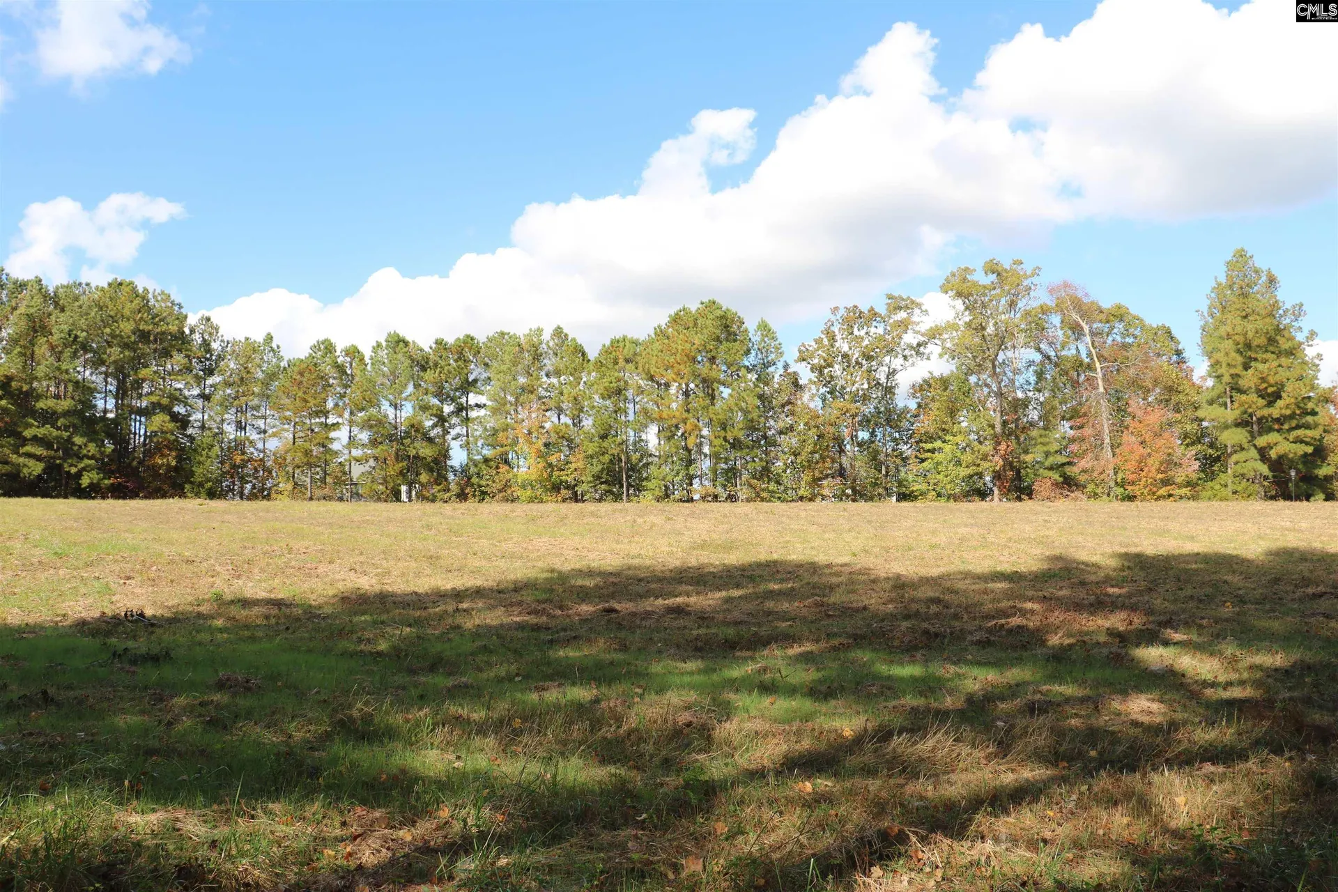 Property image 2 at 0 Bethany Drive, Irmo, SC 29063