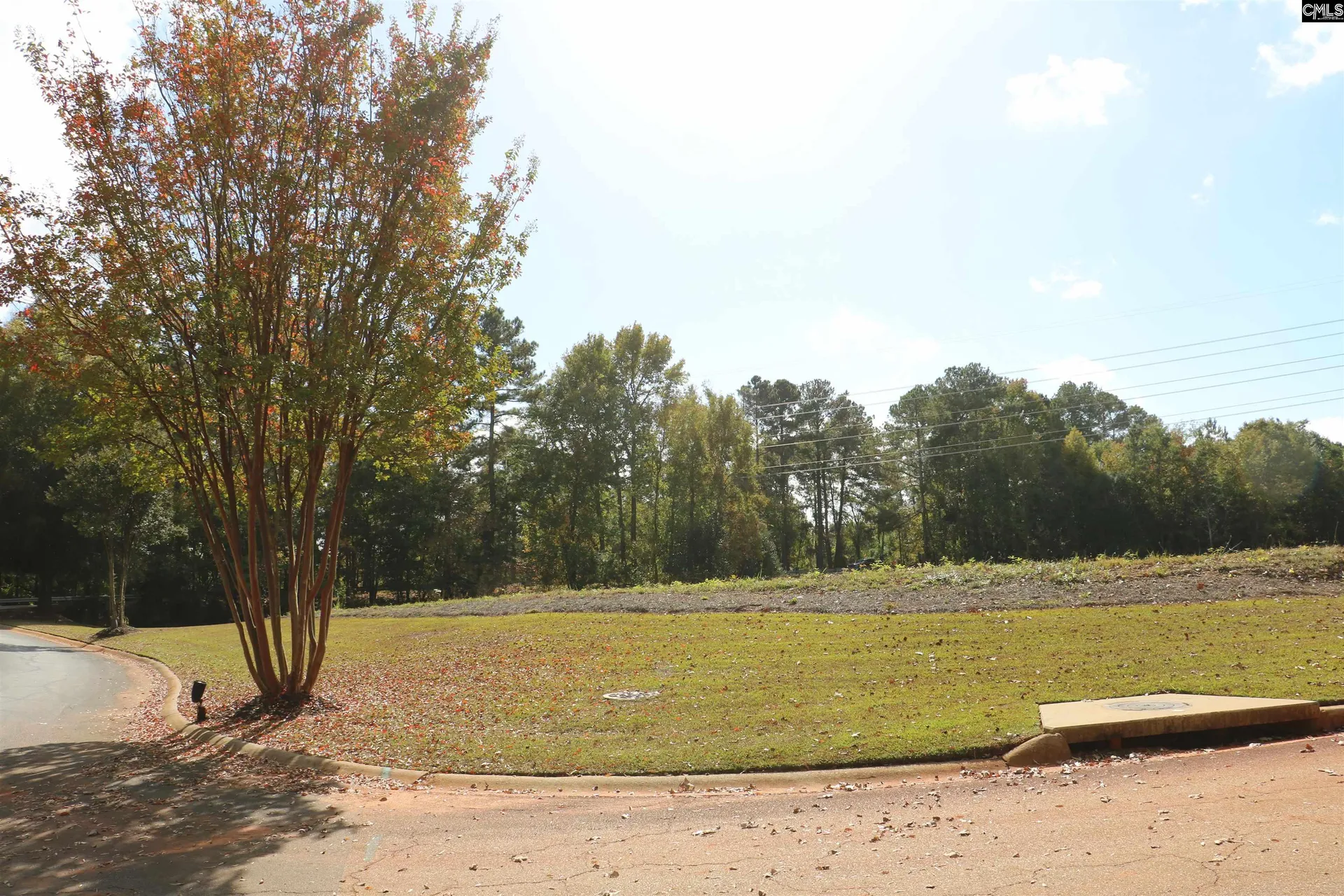 Property image 3 at 0 Bethany Drive, Irmo, SC 29063
