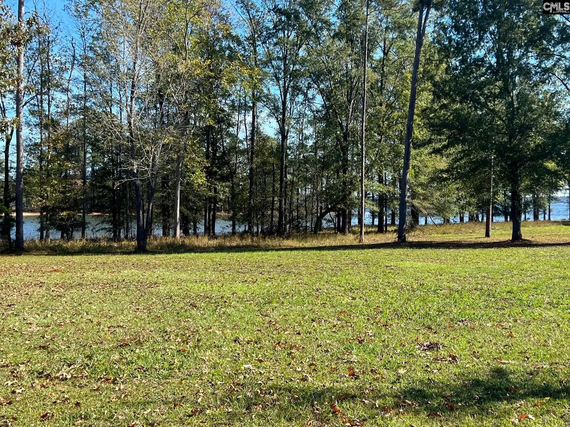Property image 2 at 10 Big Water View, Ridgeway, SC 29130