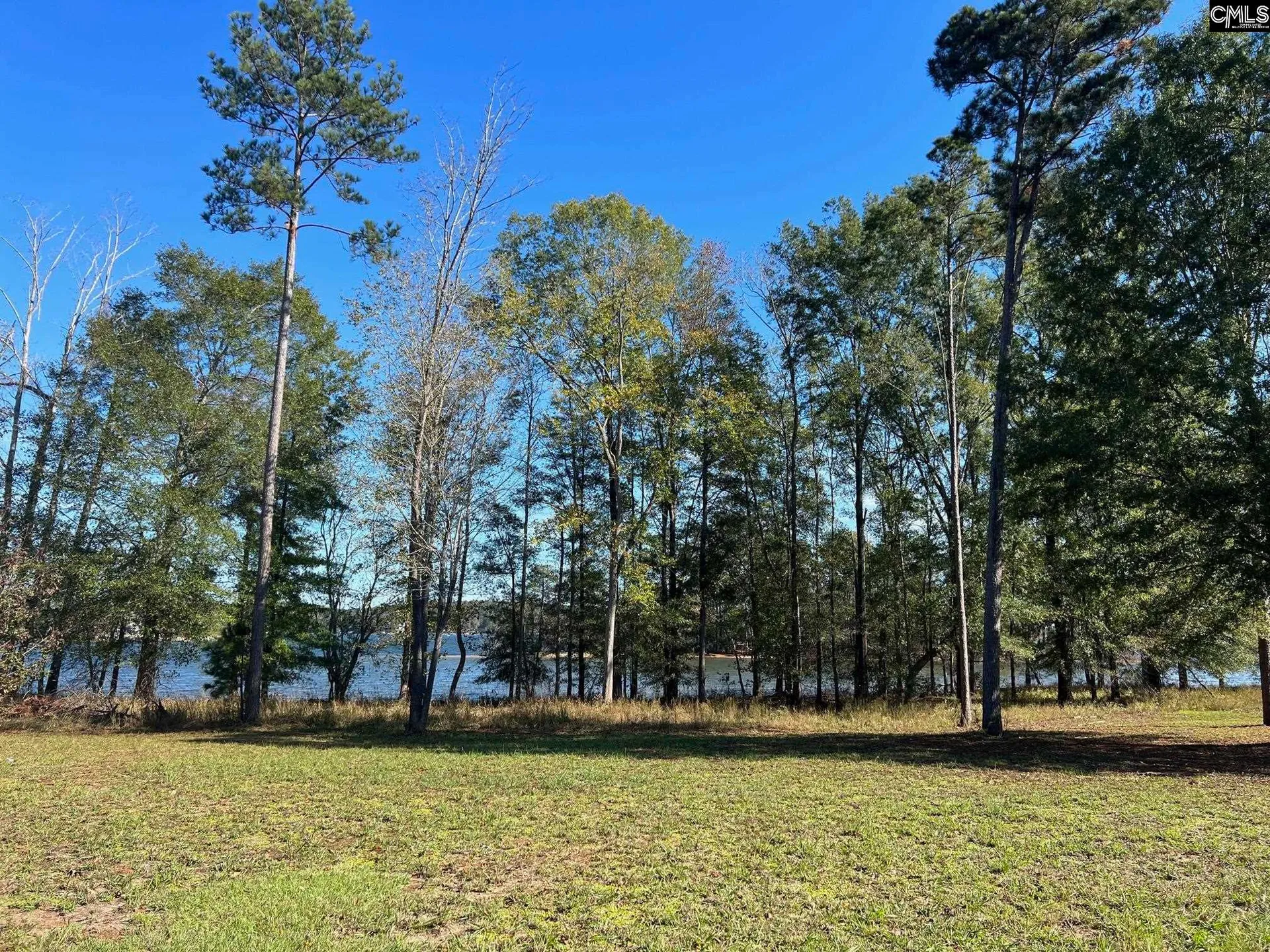 Property image 4 at 10 Big Water View, Ridgeway, SC 29130