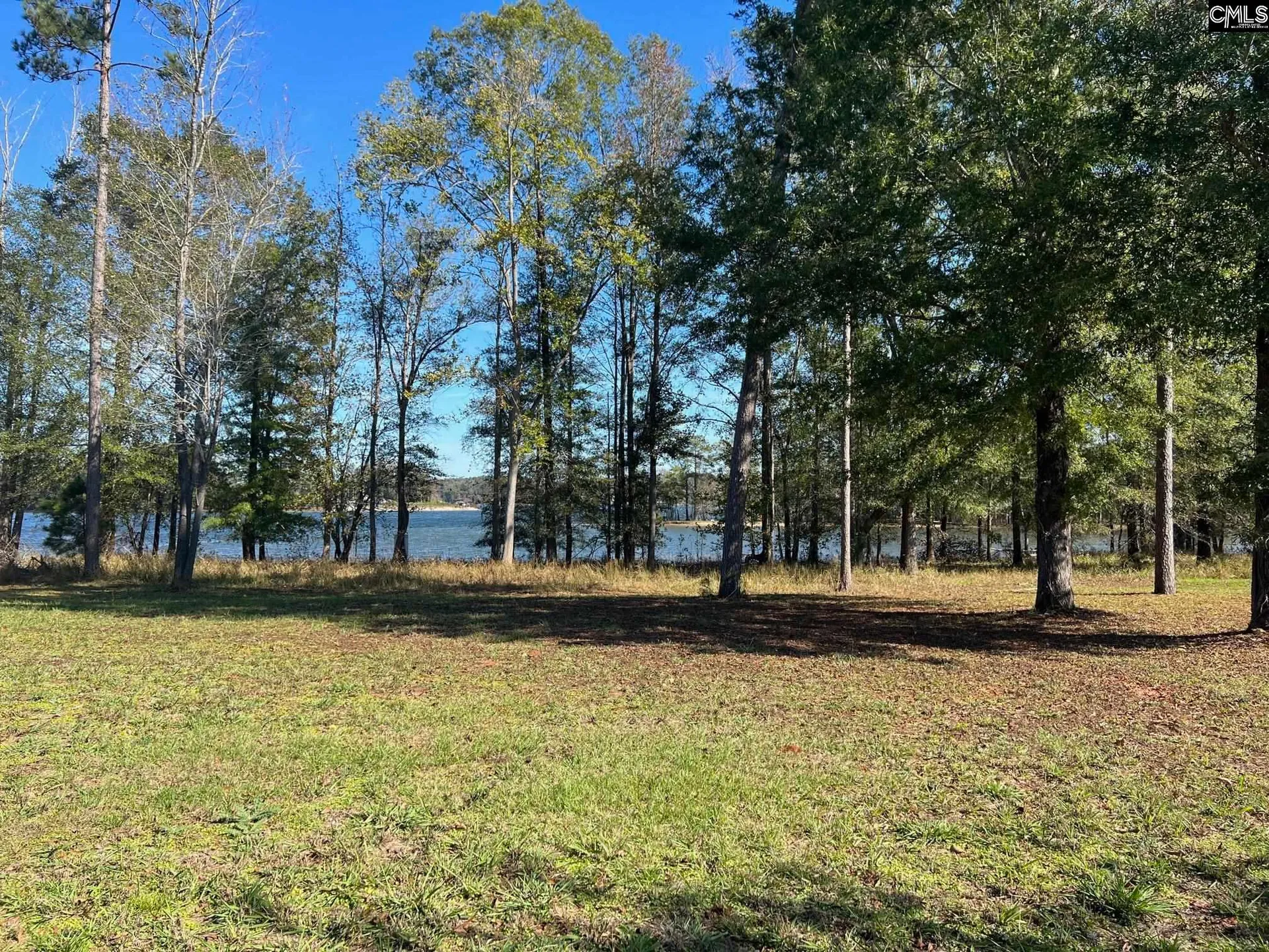 Property image 5 at 10 Big Water View, Ridgeway, SC 29130