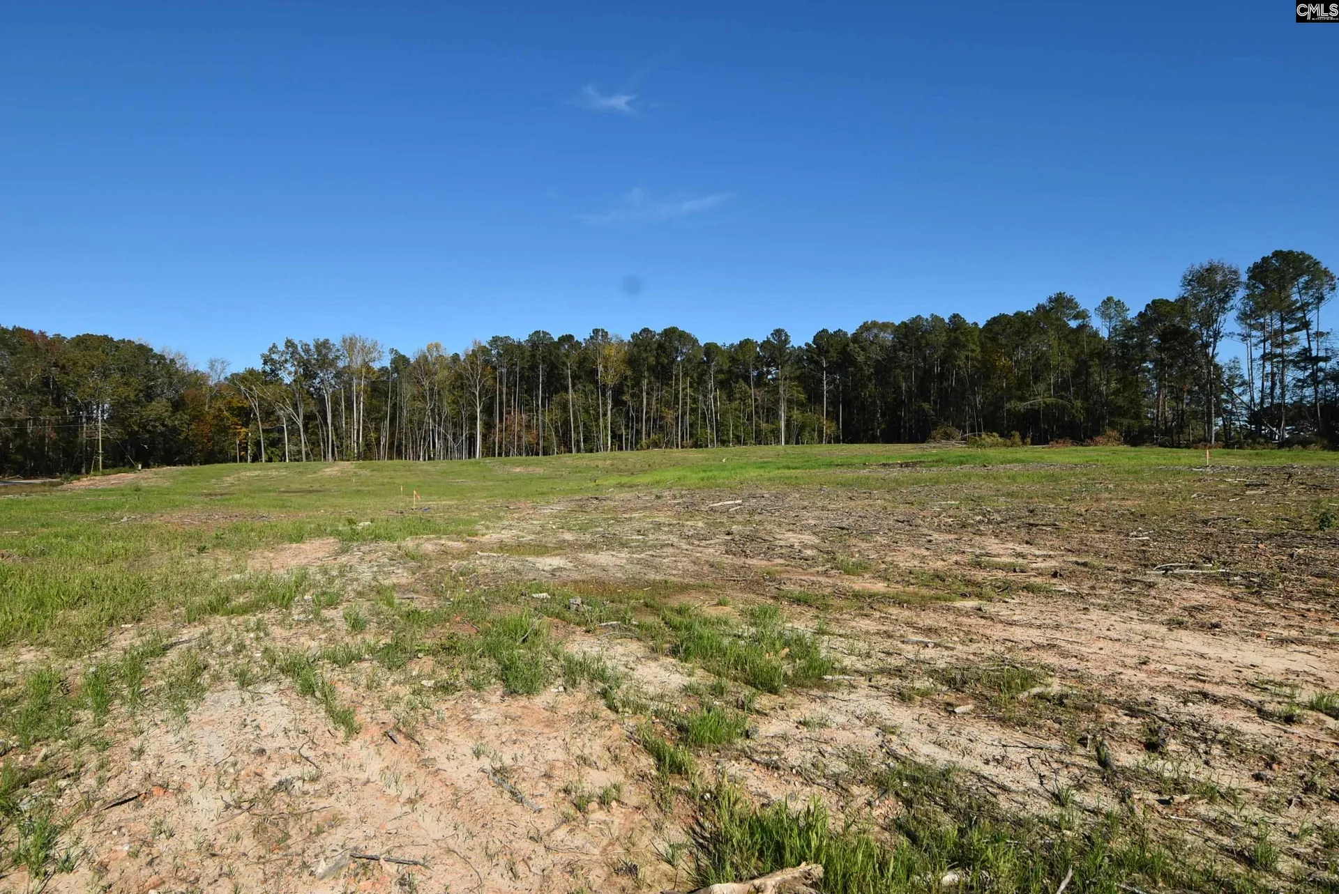 Property image 1 at Lot 5 Gold Nugget Point, Prosperity, SC 29127