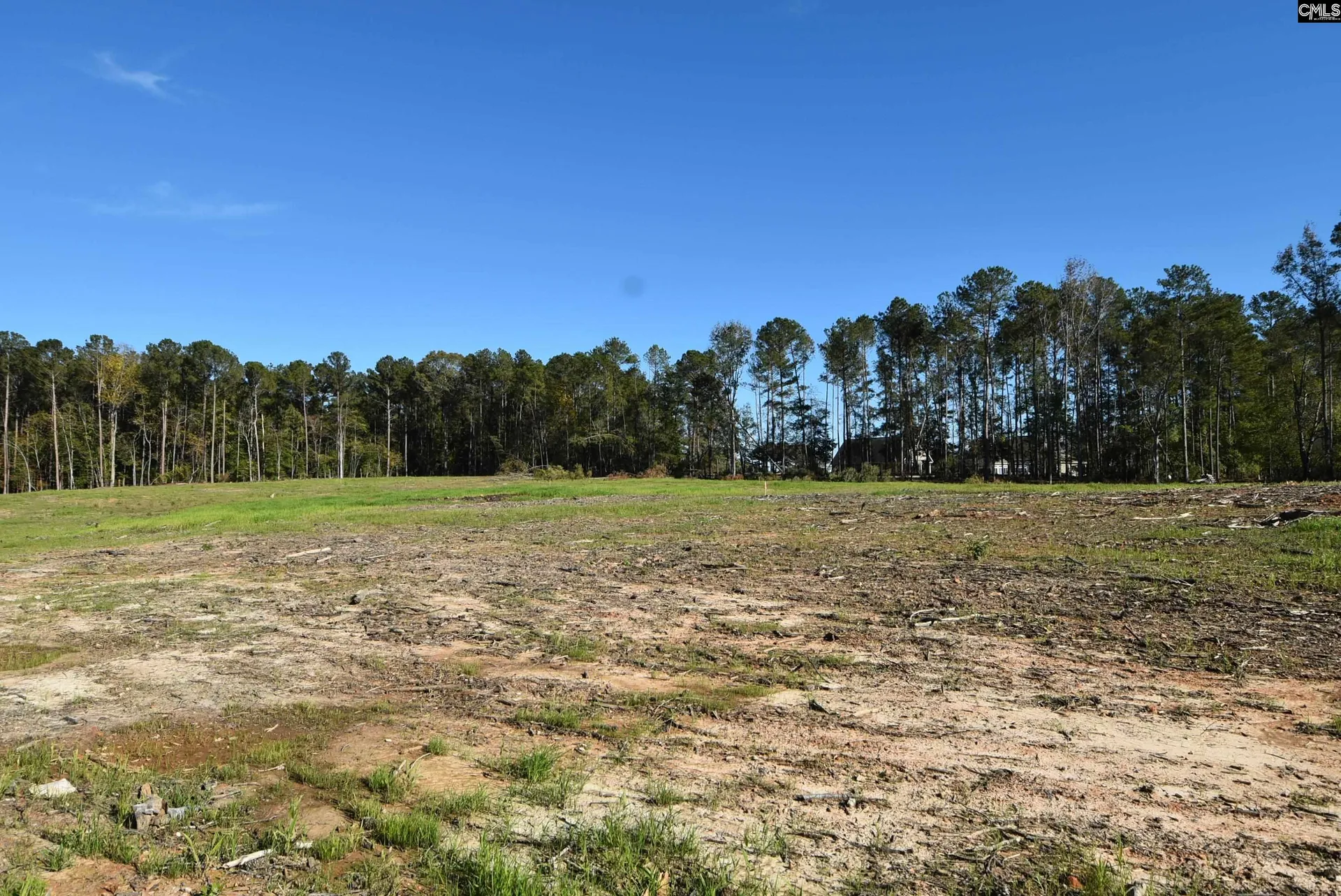 Property image 2 at Lot 5 Gold Nugget Point, Prosperity, SC 29127