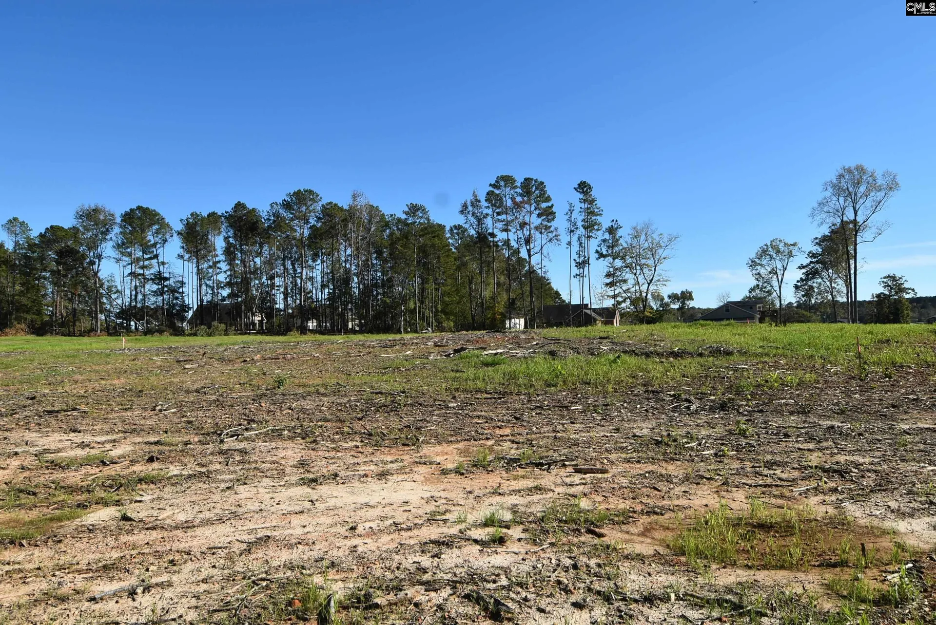Property image 3 at Lot 5 Gold Nugget Point, Prosperity, SC 29127