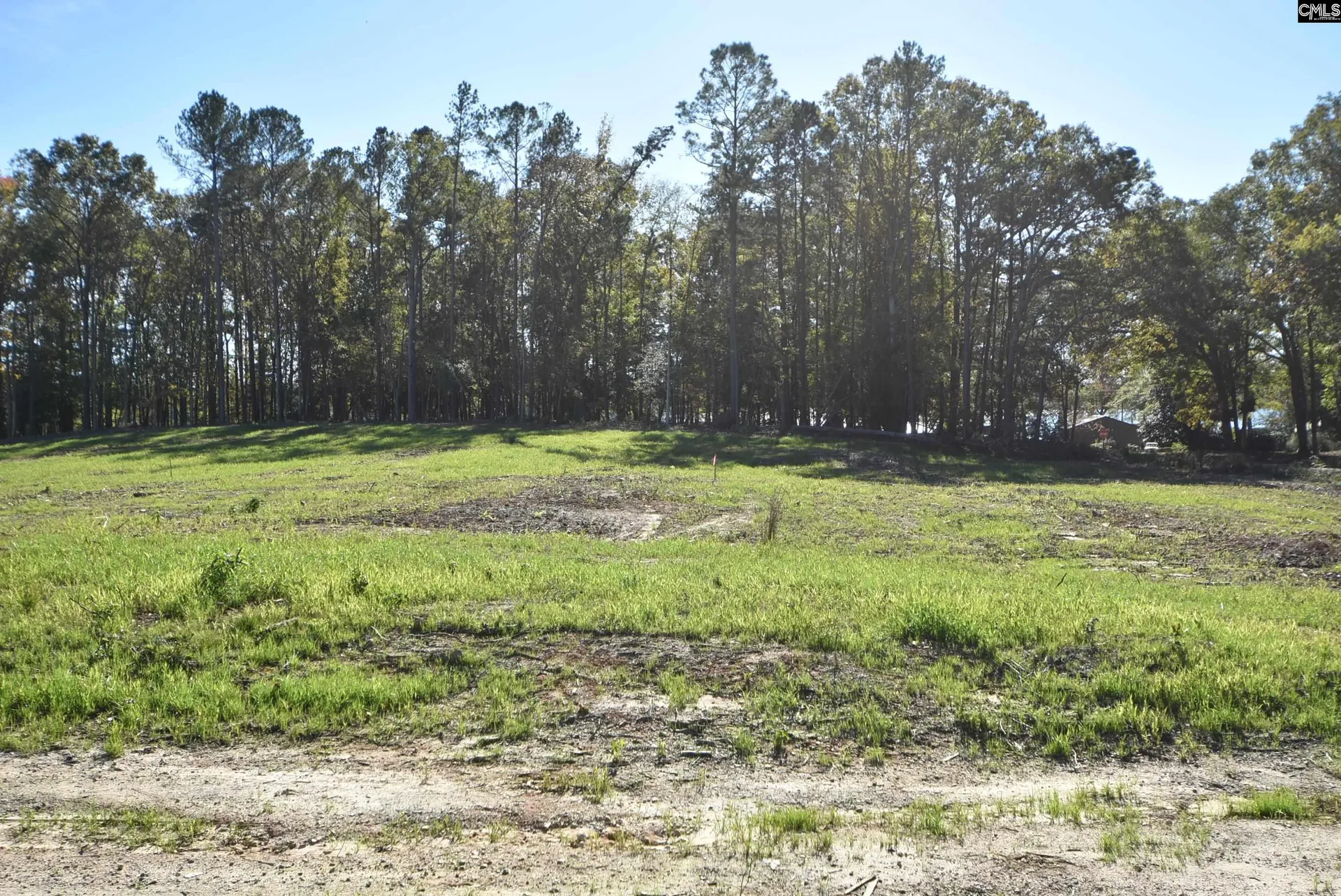 Property image 5 at Lot 5 Gold Nugget Point, Prosperity, SC 29127