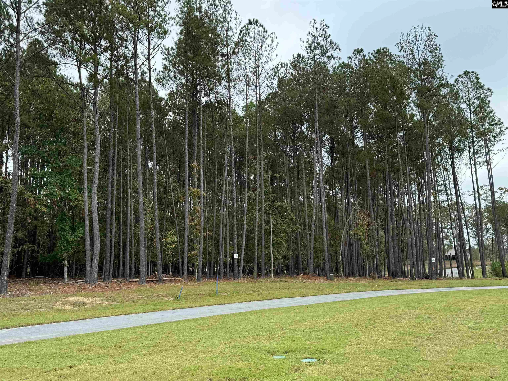 Property image 3 at 109 Stewart Landing, Prosperity, SC 29127