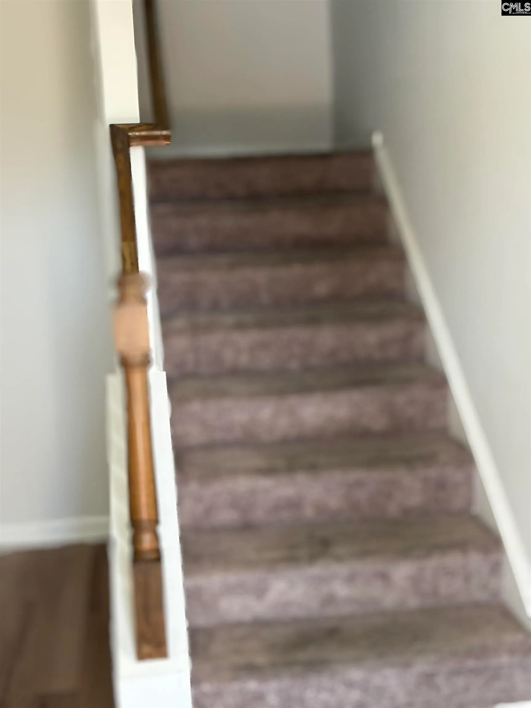Property image 4 at 514 Moresby Way, Columbia, SC 29223