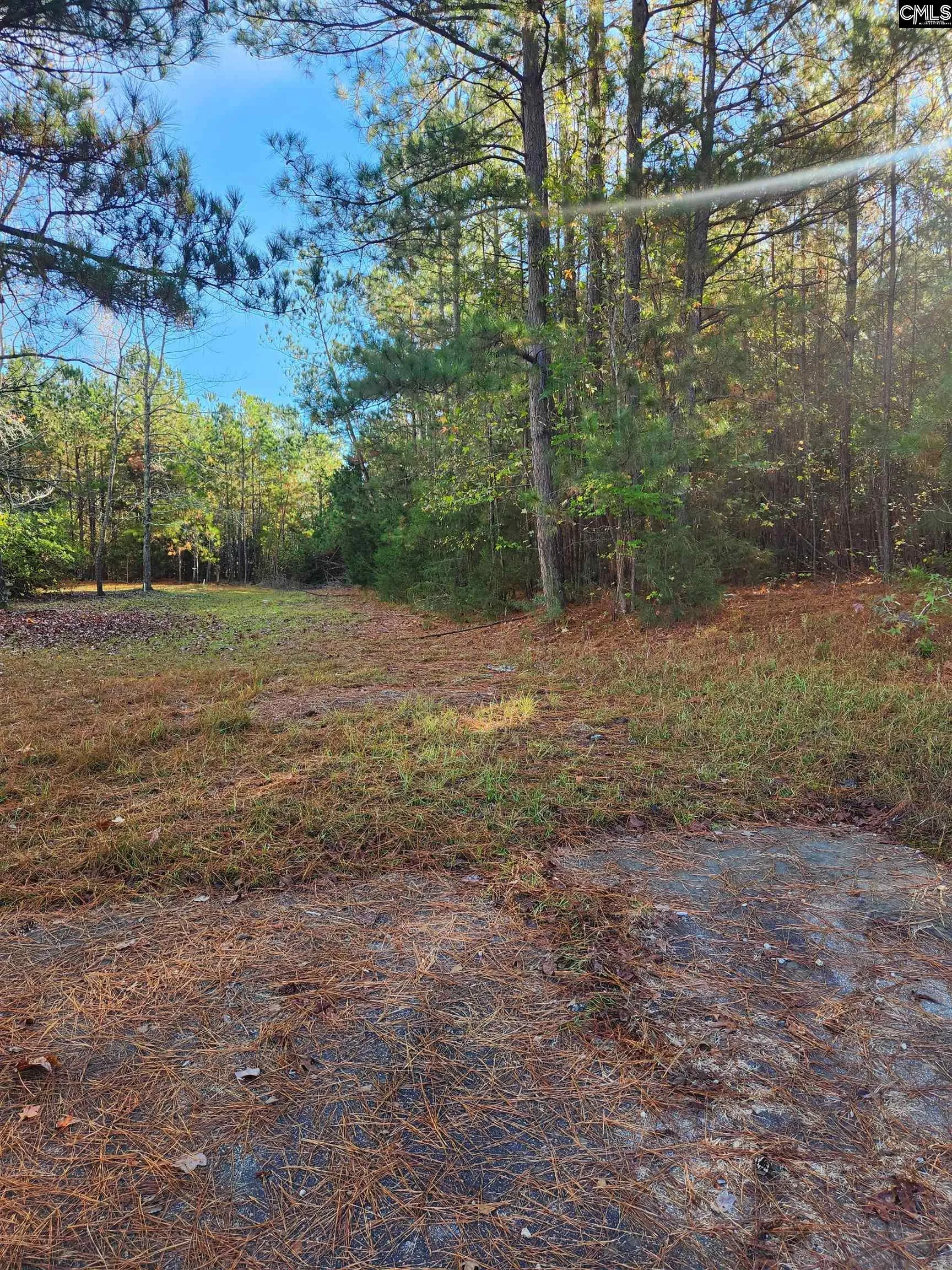 Property image 5 at E Of Sandcreek Drive, Winnsboro, SC 29180