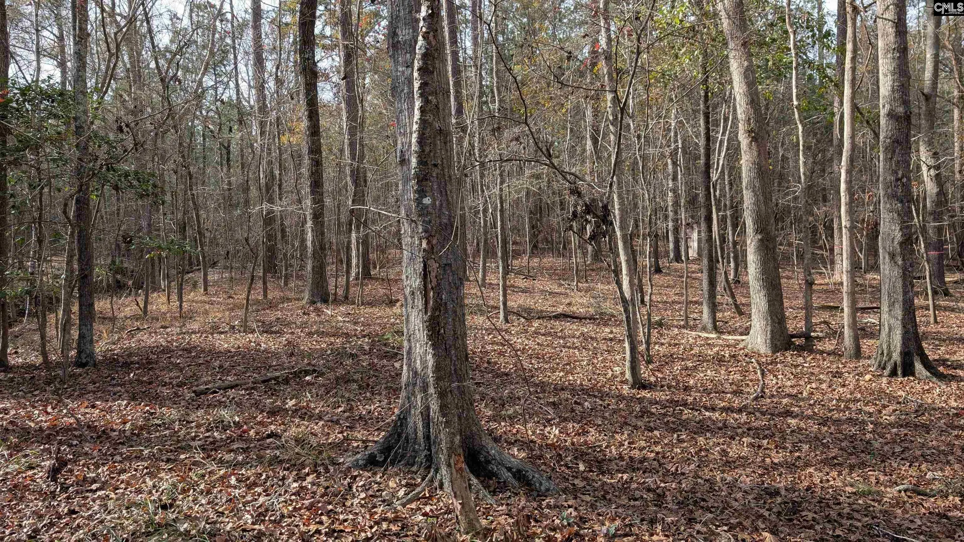 Tbd Wateree Estates Road