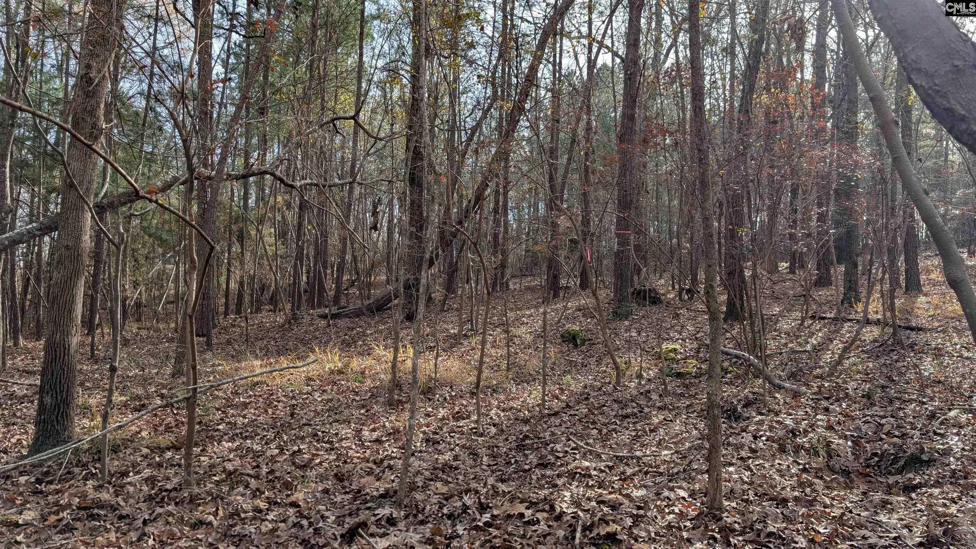 Property image 2 at Tbd Wateree Estates Road, Winnsboro, SC 29180-0000