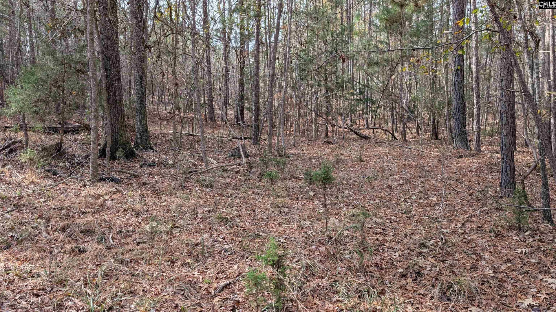 Property image 3 at Tbd Wateree Estates Road, Winnsboro, SC 29180-0000
