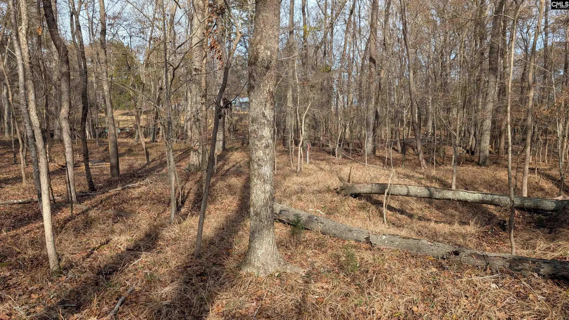 Property image 4 at Tbd Wateree Estates Road, Winnsboro, SC 29180-0000