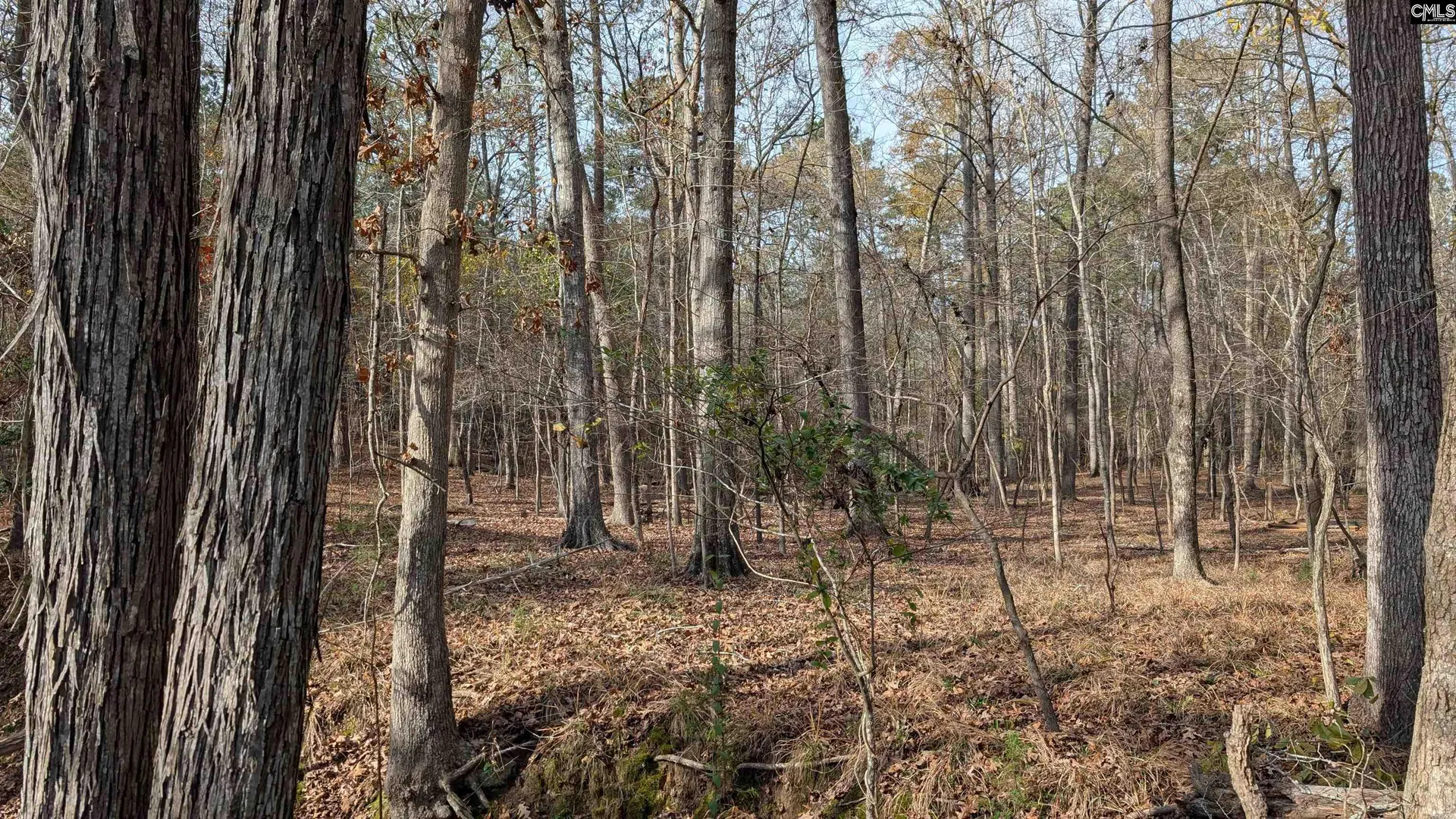Property image 5 at Tbd Wateree Estates Road, Winnsboro, SC 29180-0000