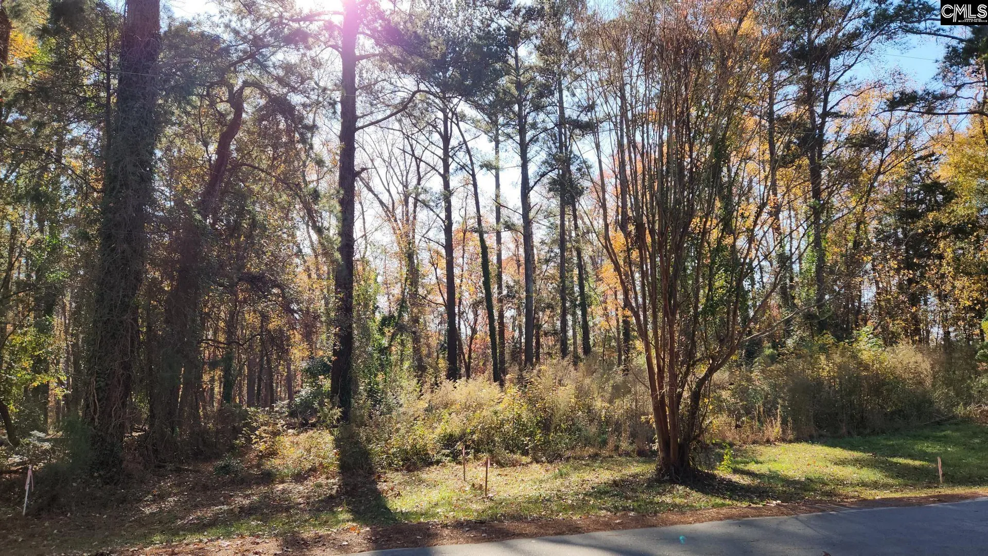 Avery Pines, Lexington Community