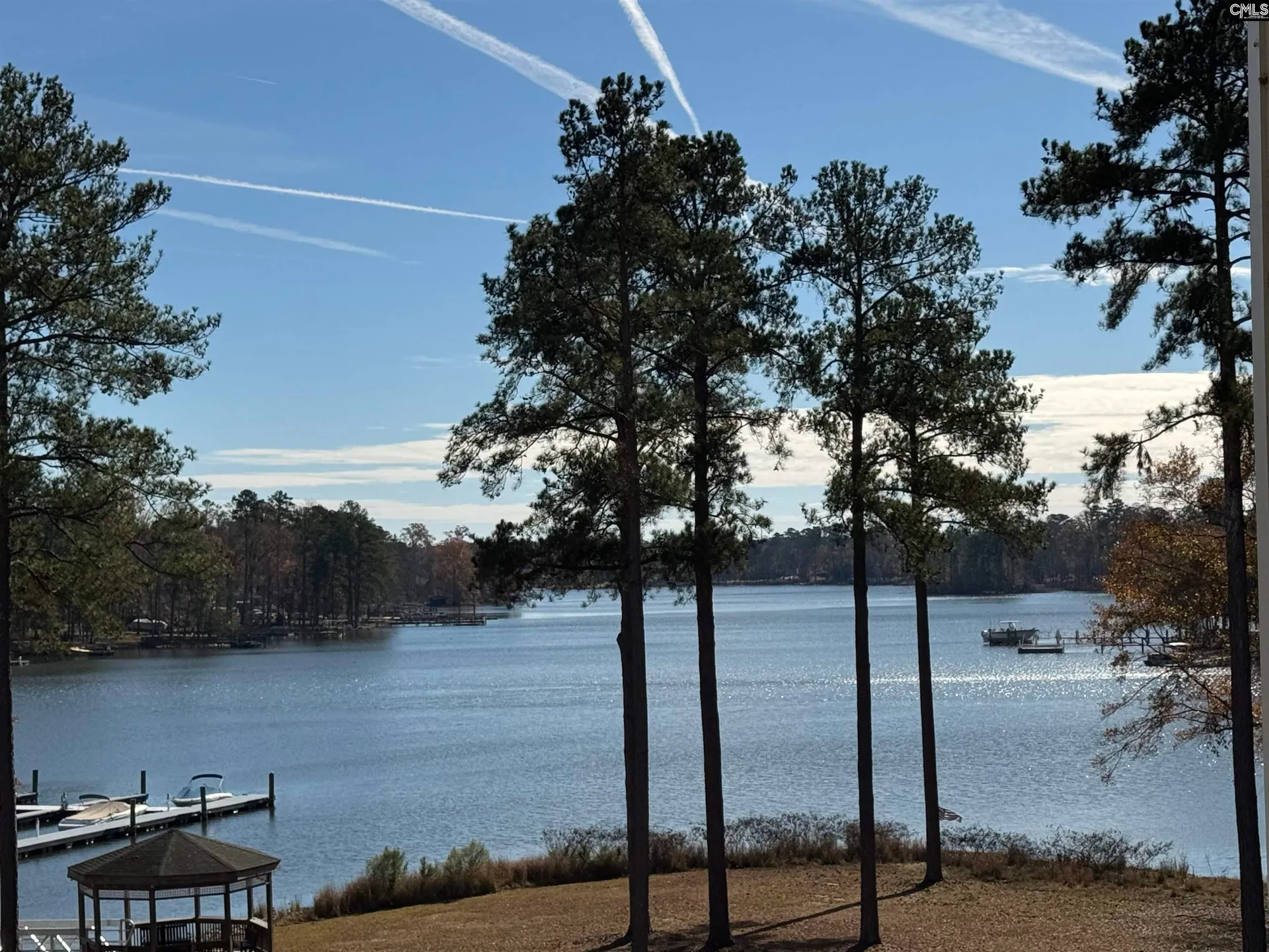 Property image 1 at Lot 203 Peninsula Drive, Prosperity, SC 29127