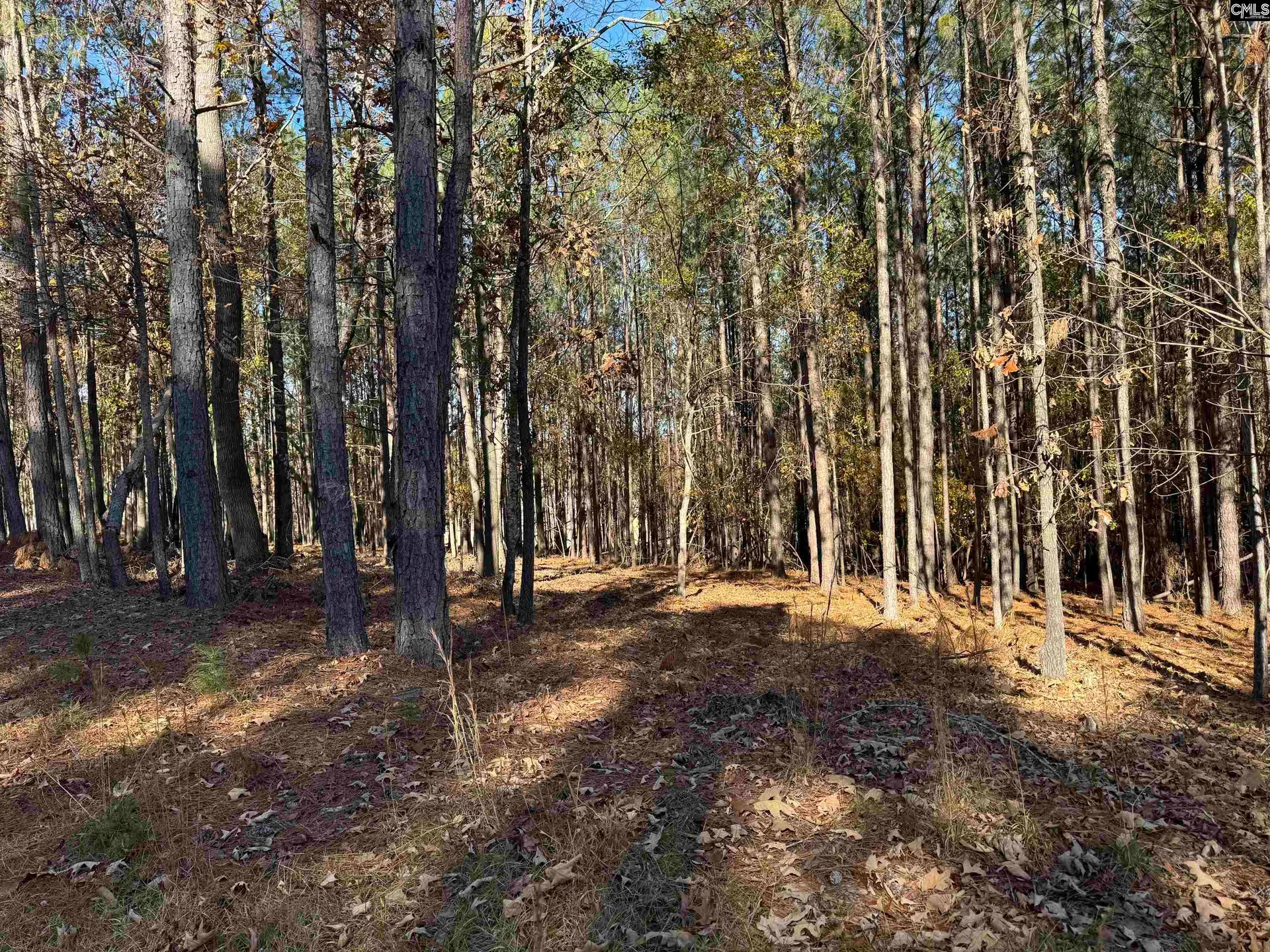 Property image 2 at Lot 203 Peninsula Drive, Prosperity, SC 29127