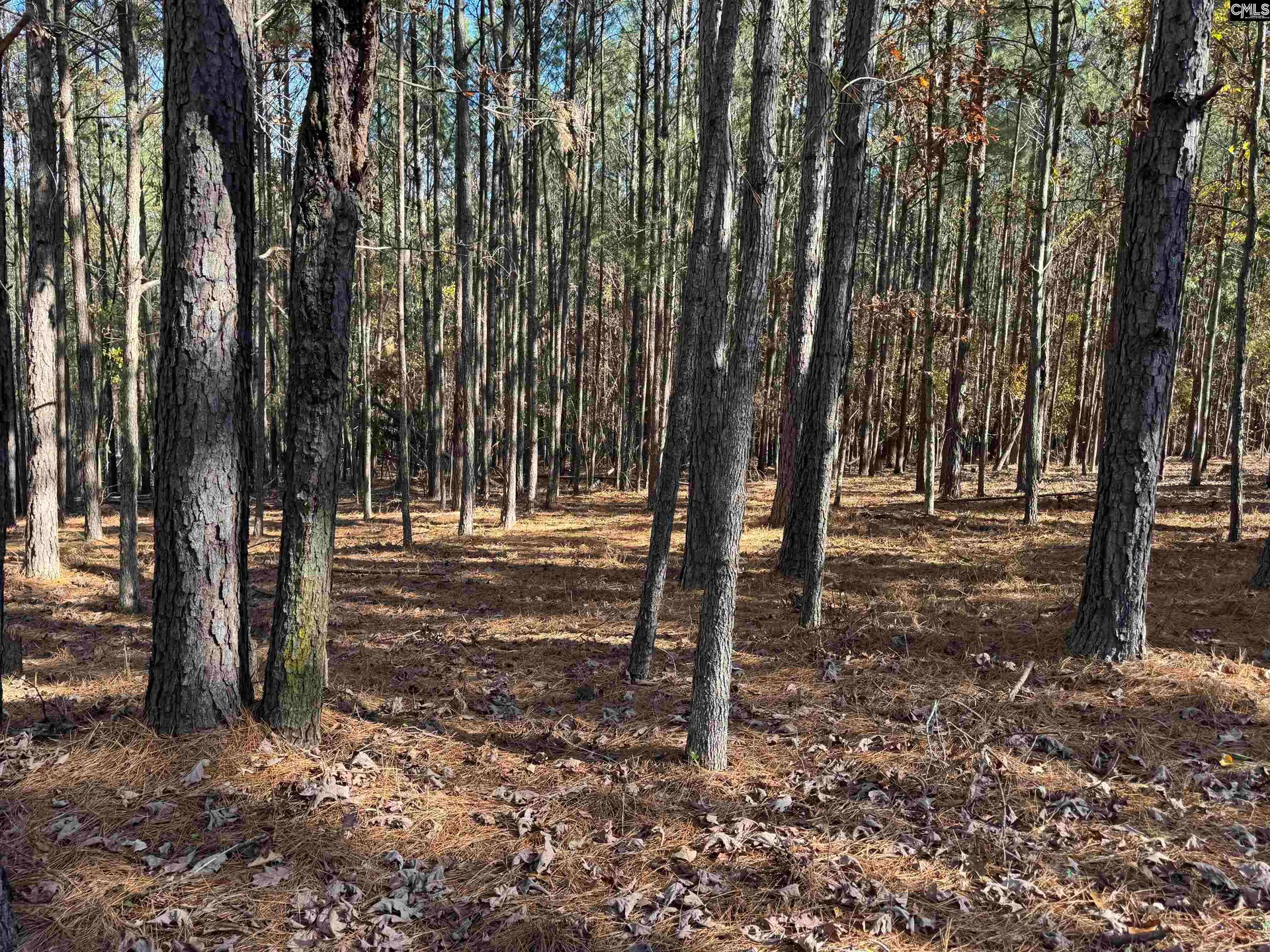 Property image 3 at Lot 203 Peninsula Drive, Prosperity, SC 29127