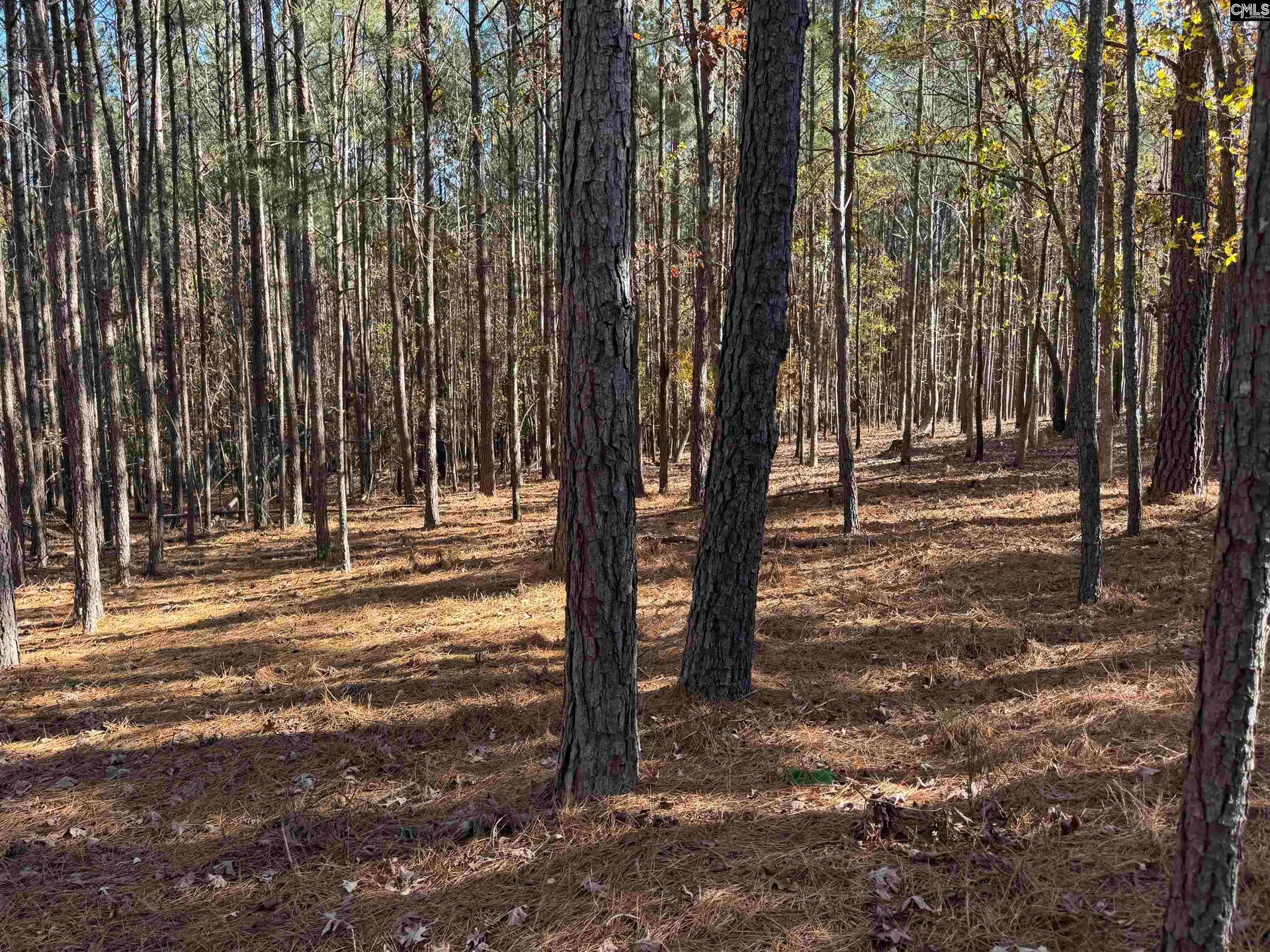 Property image 4 at Lot 203 Peninsula Drive, Prosperity, SC 29127