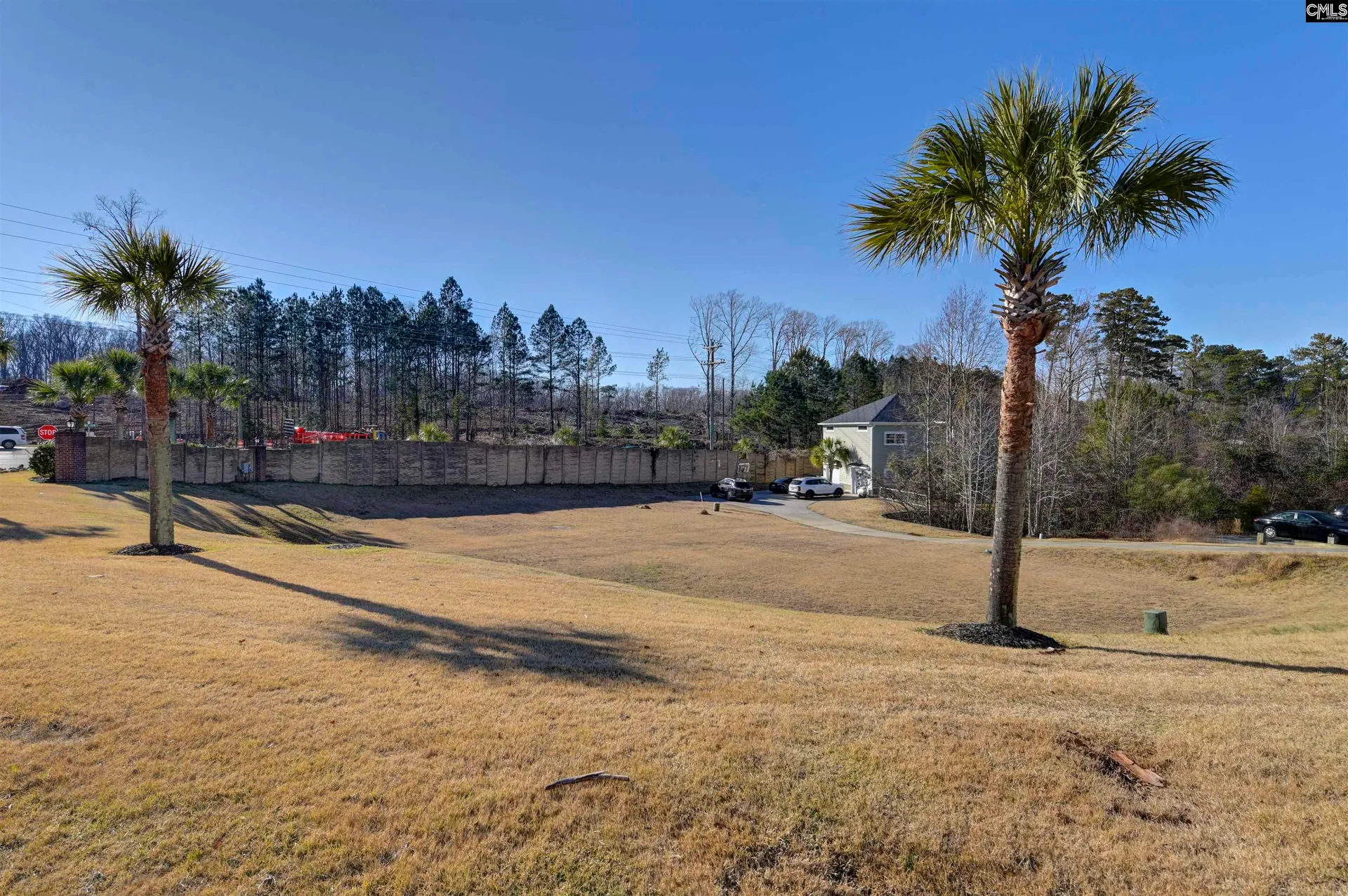 Property image 3 at 305 Cabana Way, Lexington, SC 29072