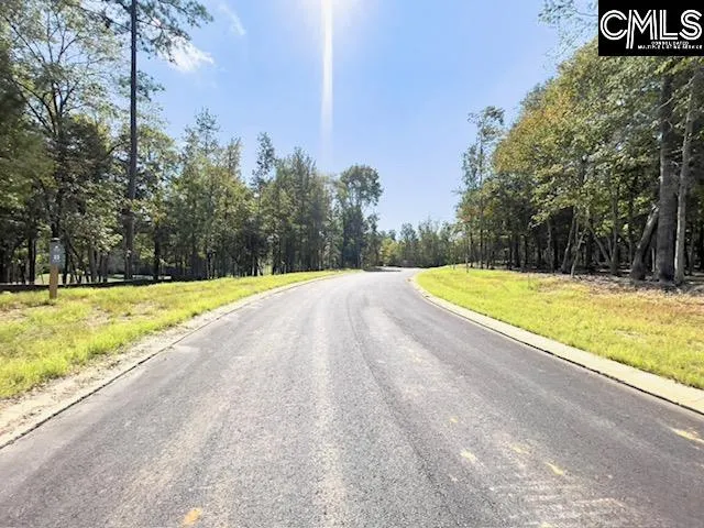 Property image 3 at 1029 Refuge Place, Chapin, SC 29036