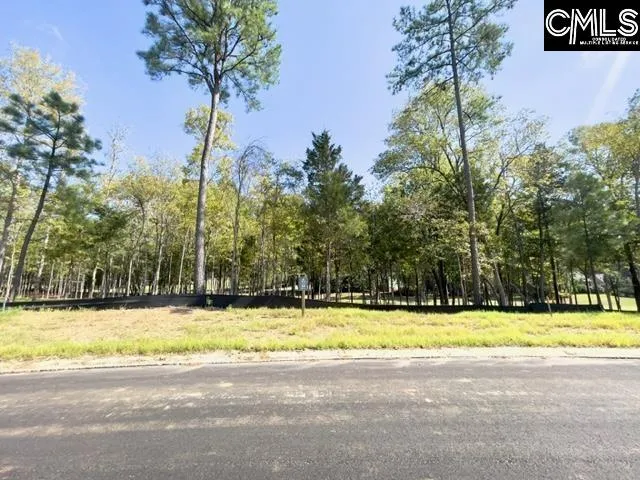 Property image 4 at 1029 Refuge Place, Chapin, SC 29036