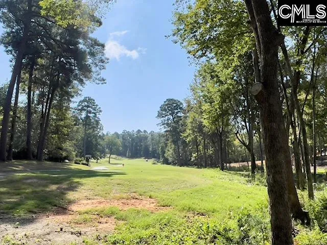 Property image 5 at 1029 Refuge Place, Chapin, SC 29036
