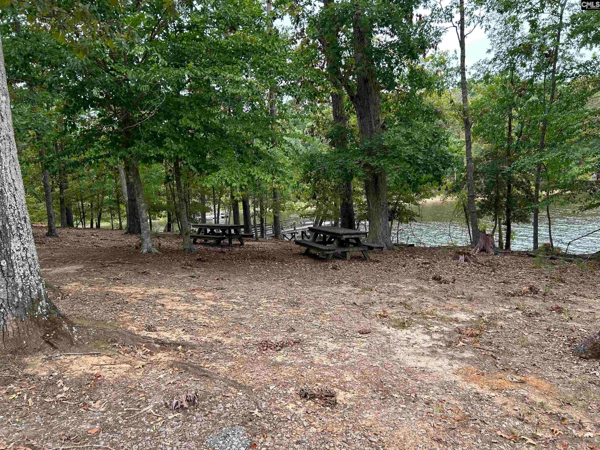 Property image 4 at 0 Little Saluda Lane, Batesburg, SC 29006